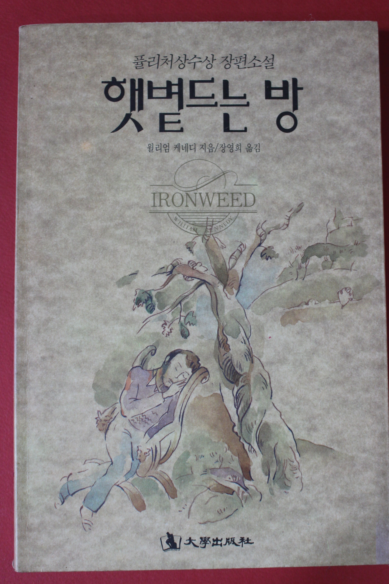 1992년 윌리엄 케네디 햇볕드는 방