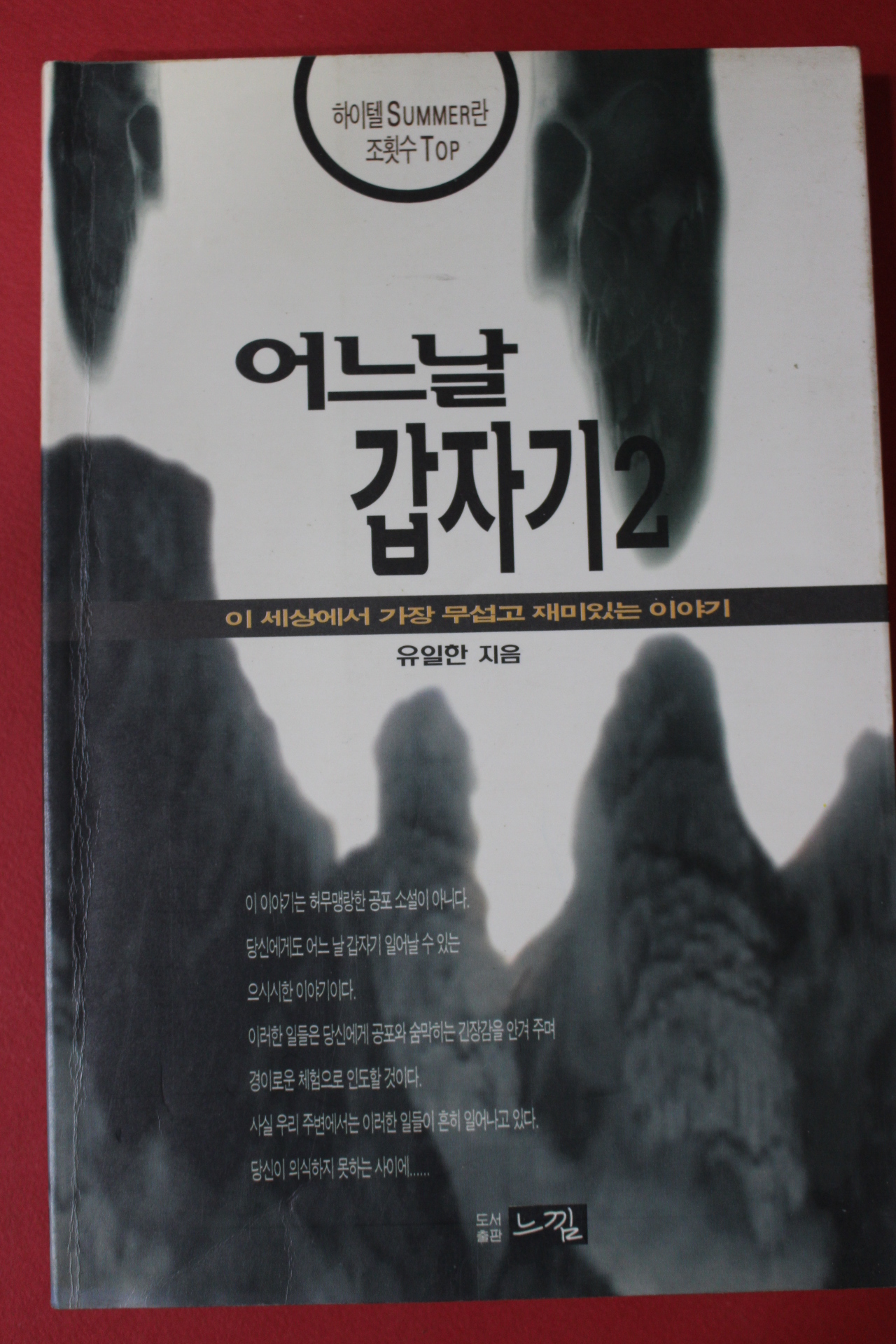 1996년 유일한 어느날 갑자기 2
