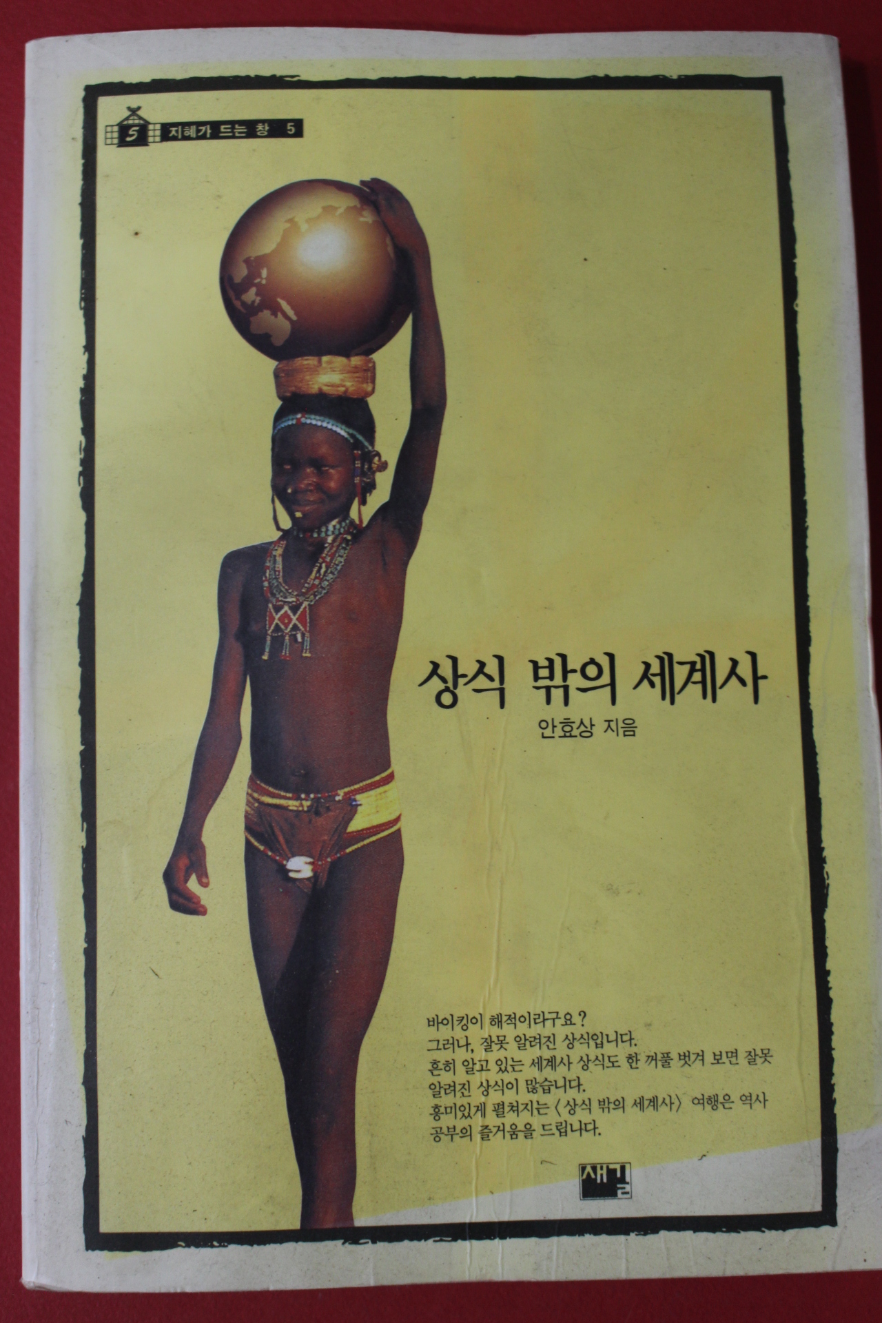 1996년 안효상 상식 밖의 세계사