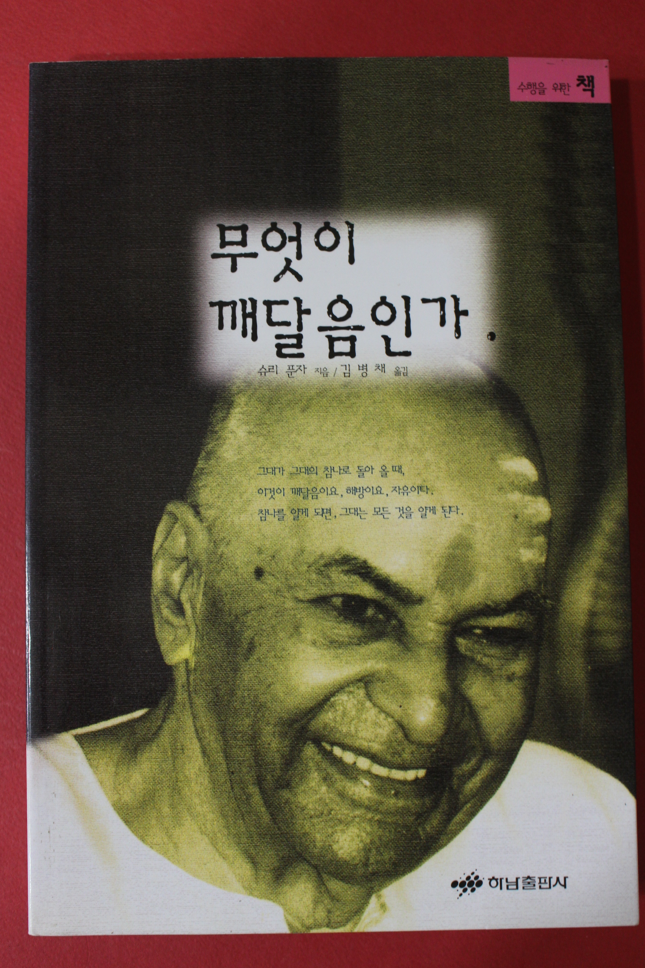 1998년 슈리푼자 무엇이 깨달음인가