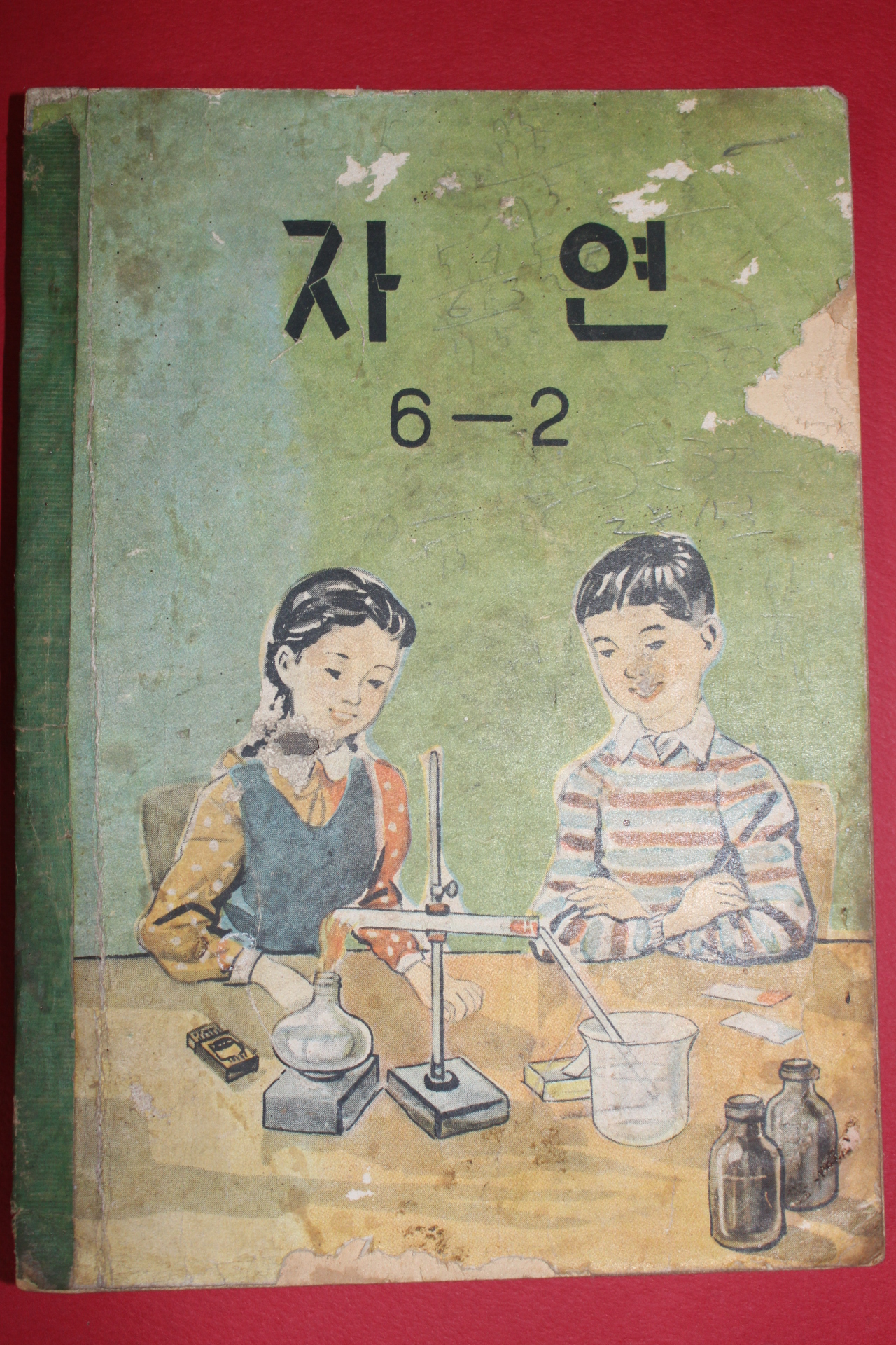 1963년 자연 6-2