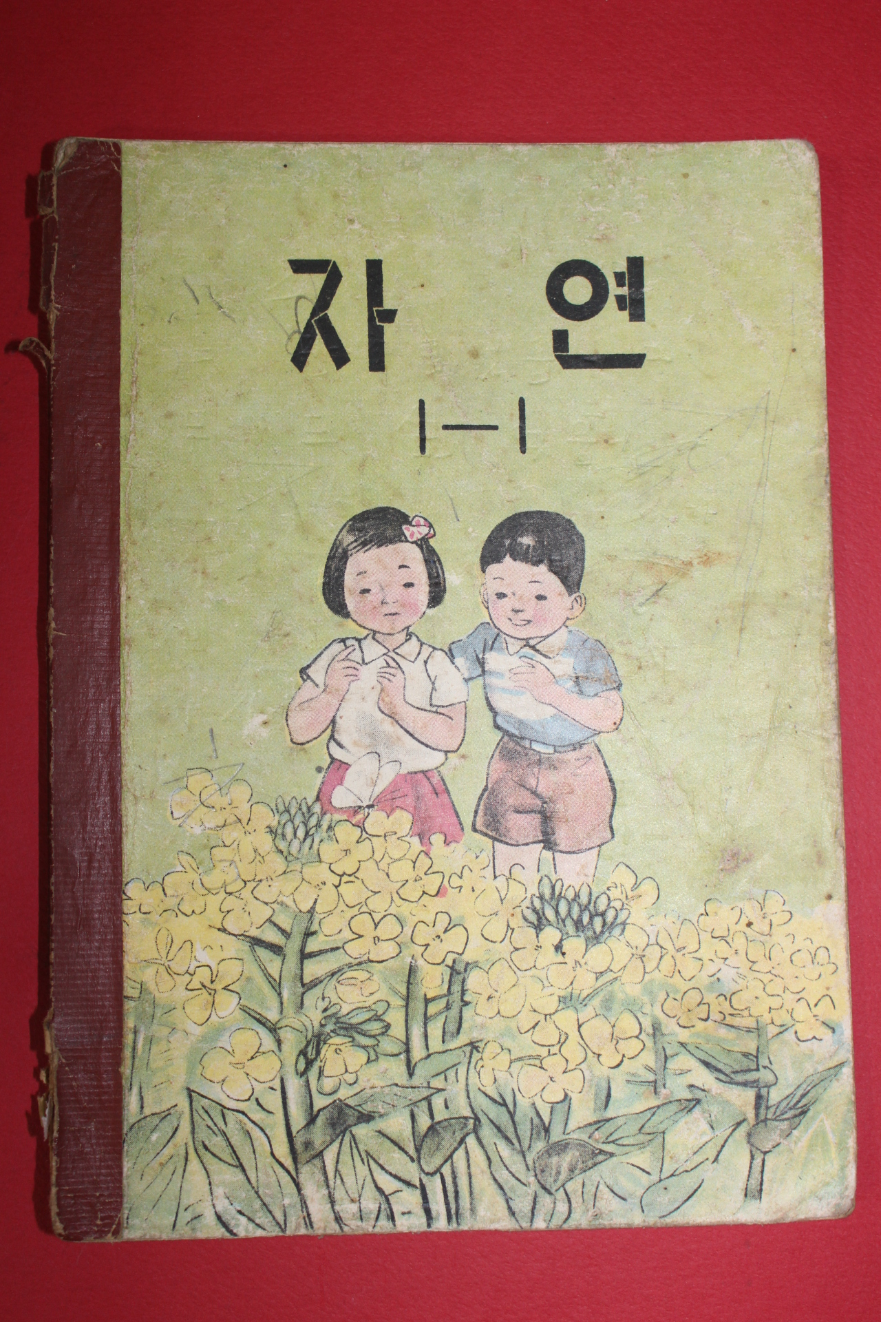 1963년 자연 1-1