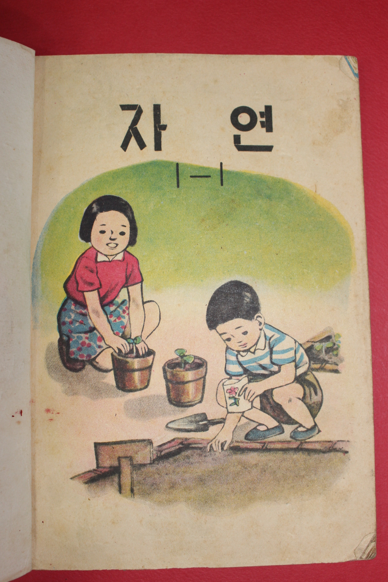 1963년 자연 1-1