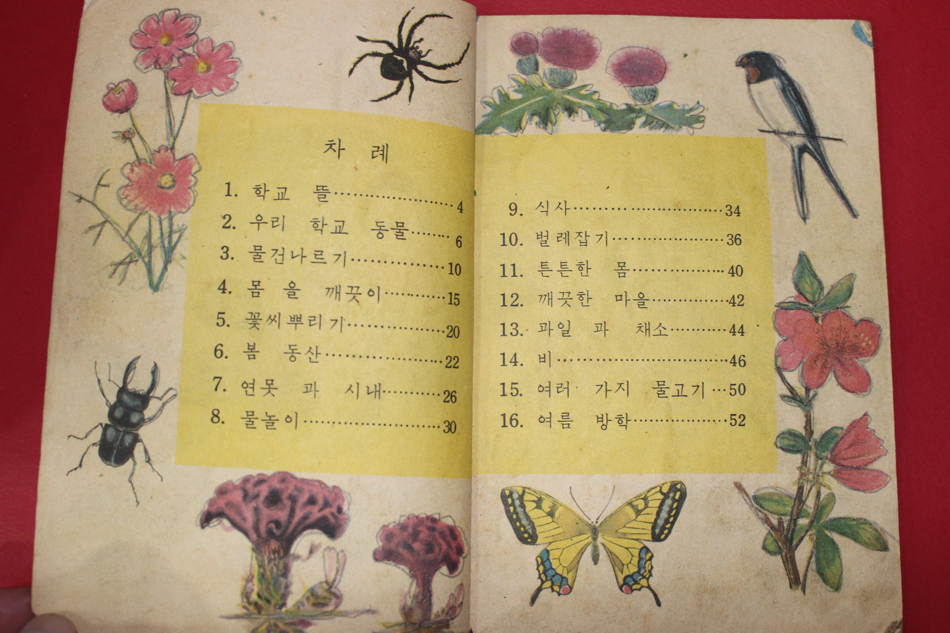 1963년 자연 1-1