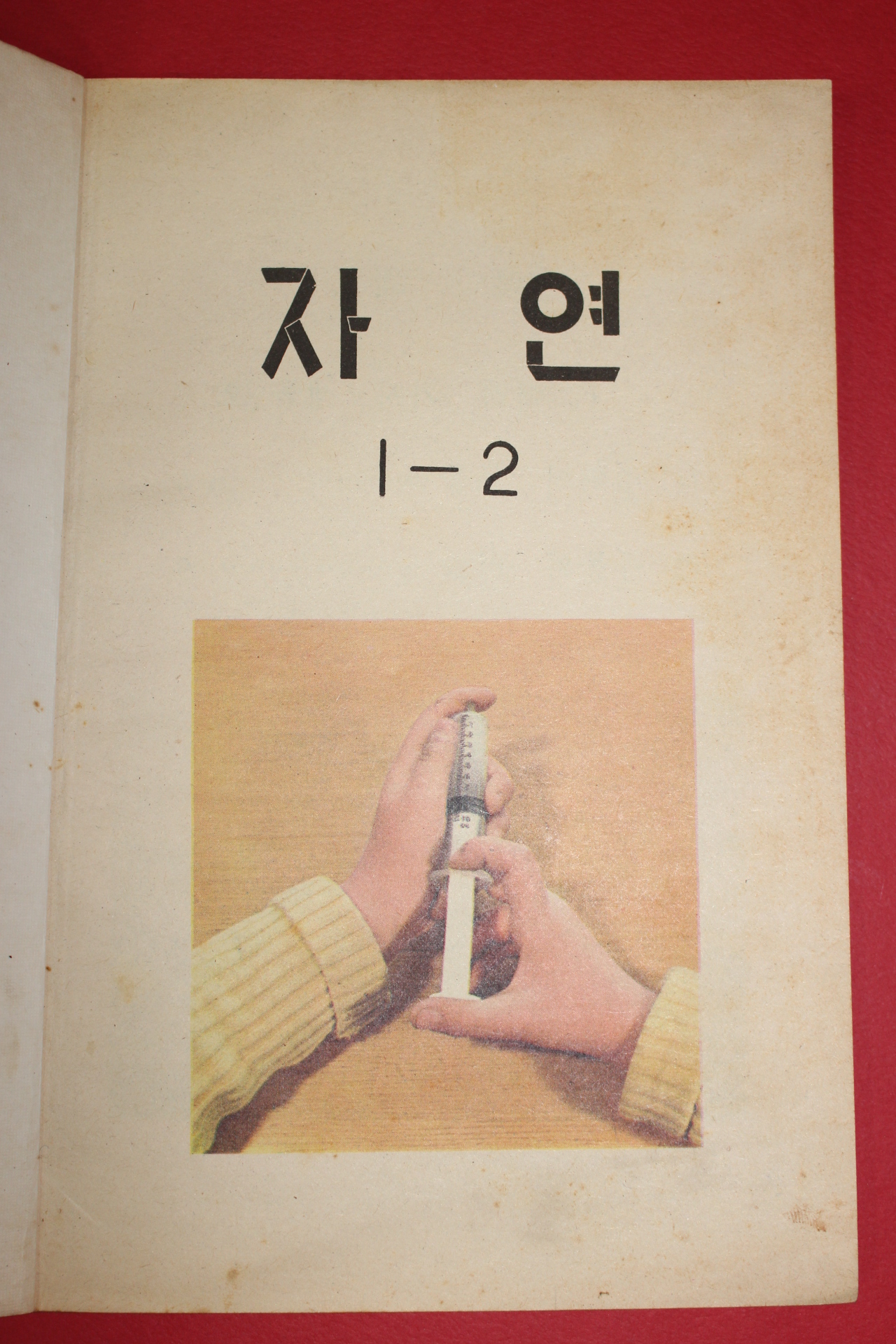 1981년 자연 1-2