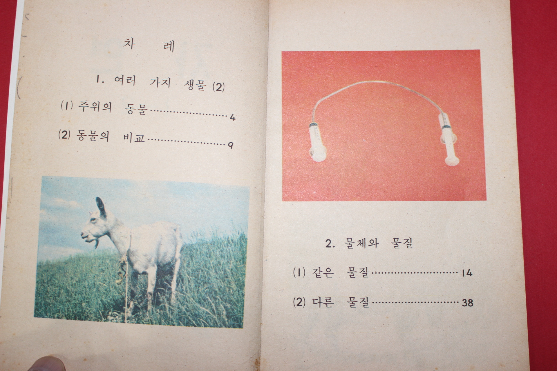 1981년 자연 1-2