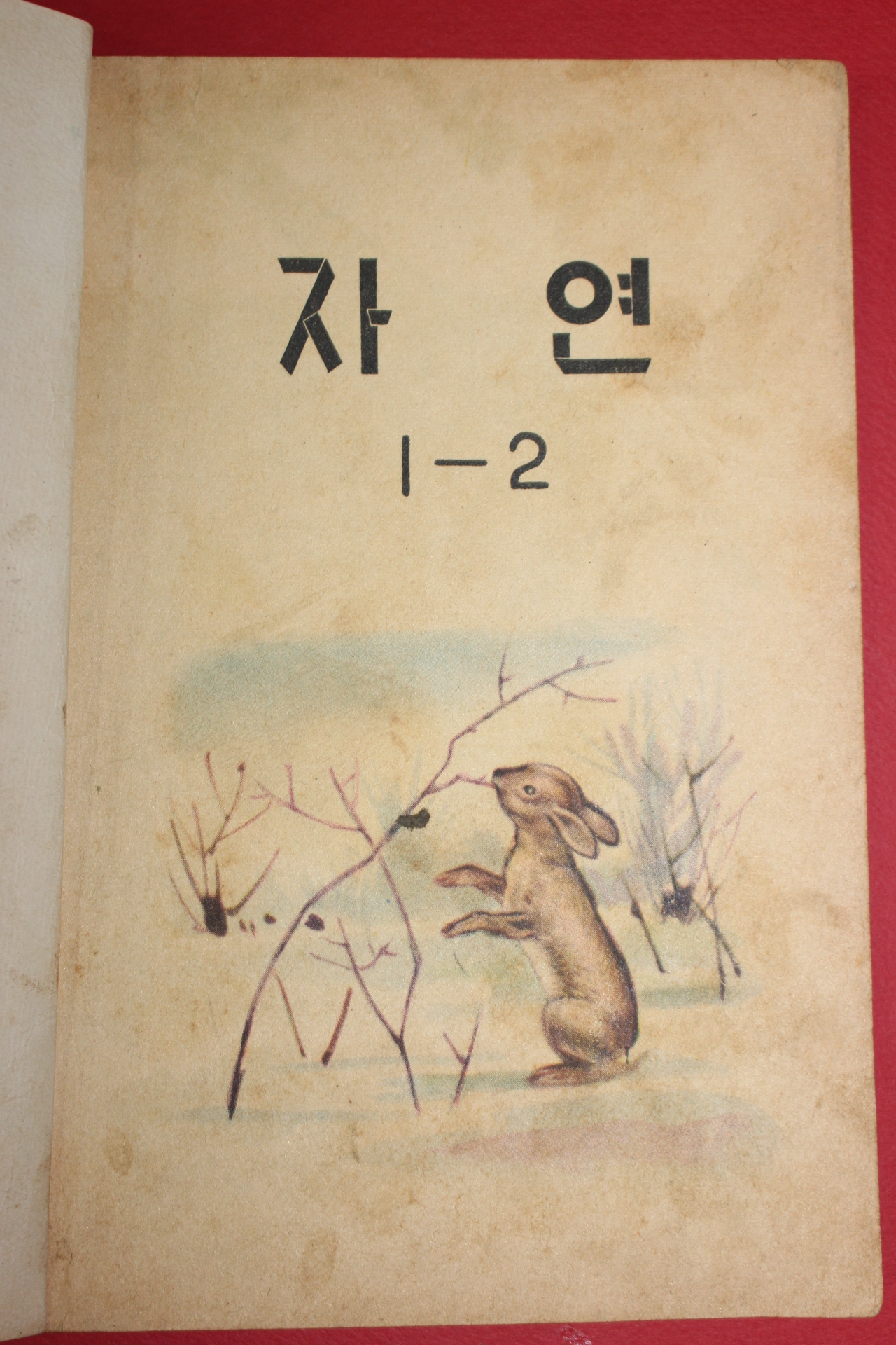 1963년 자연 1-2