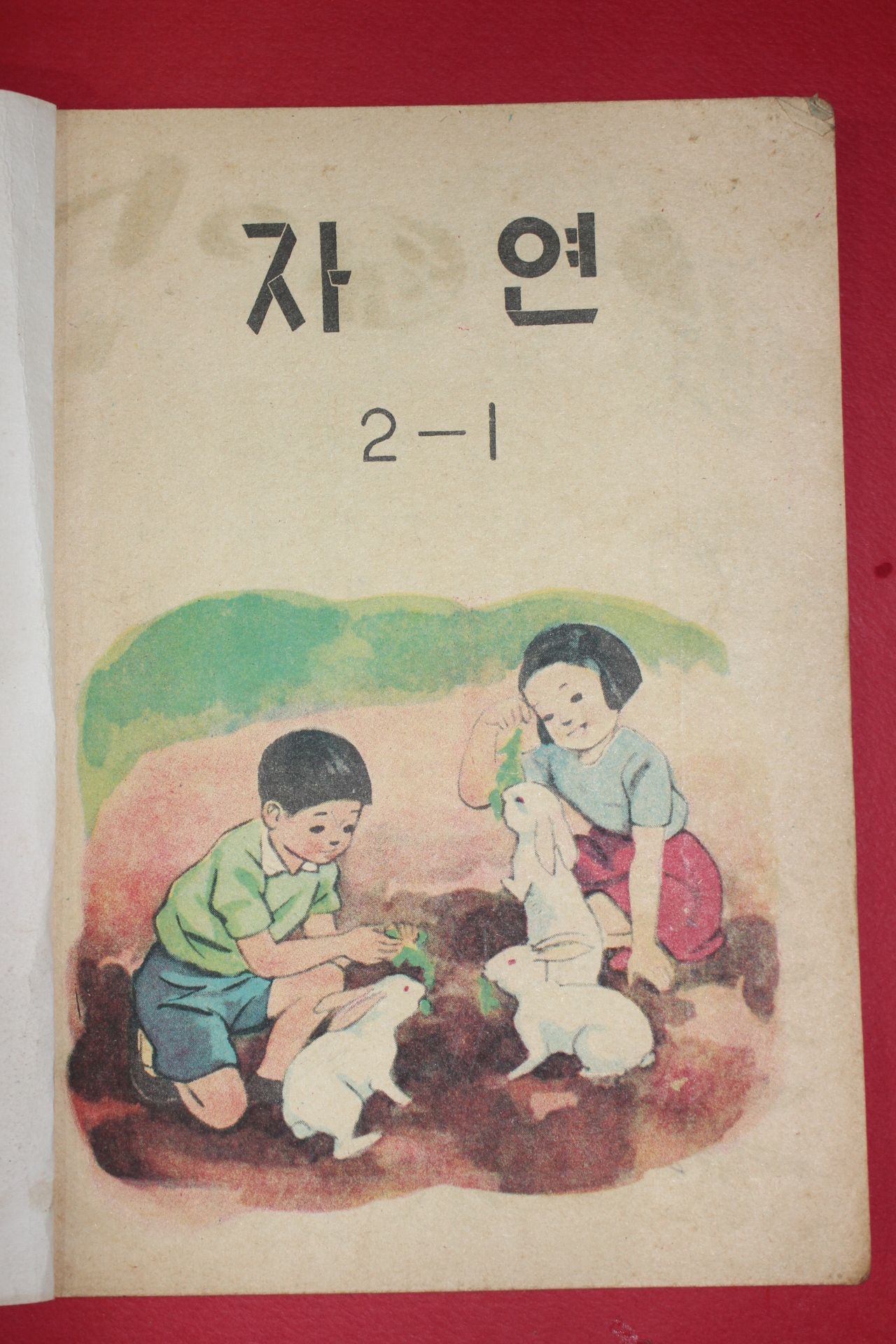 1963년 자연 2-1