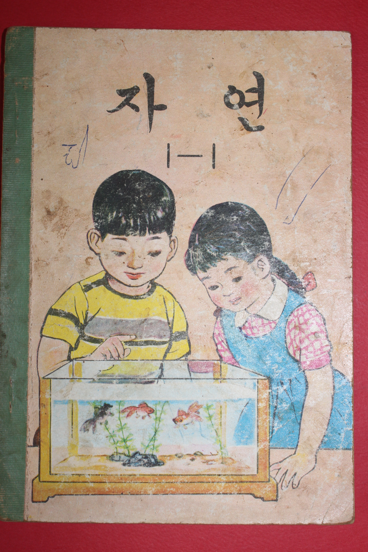 1968년 자연 1-1