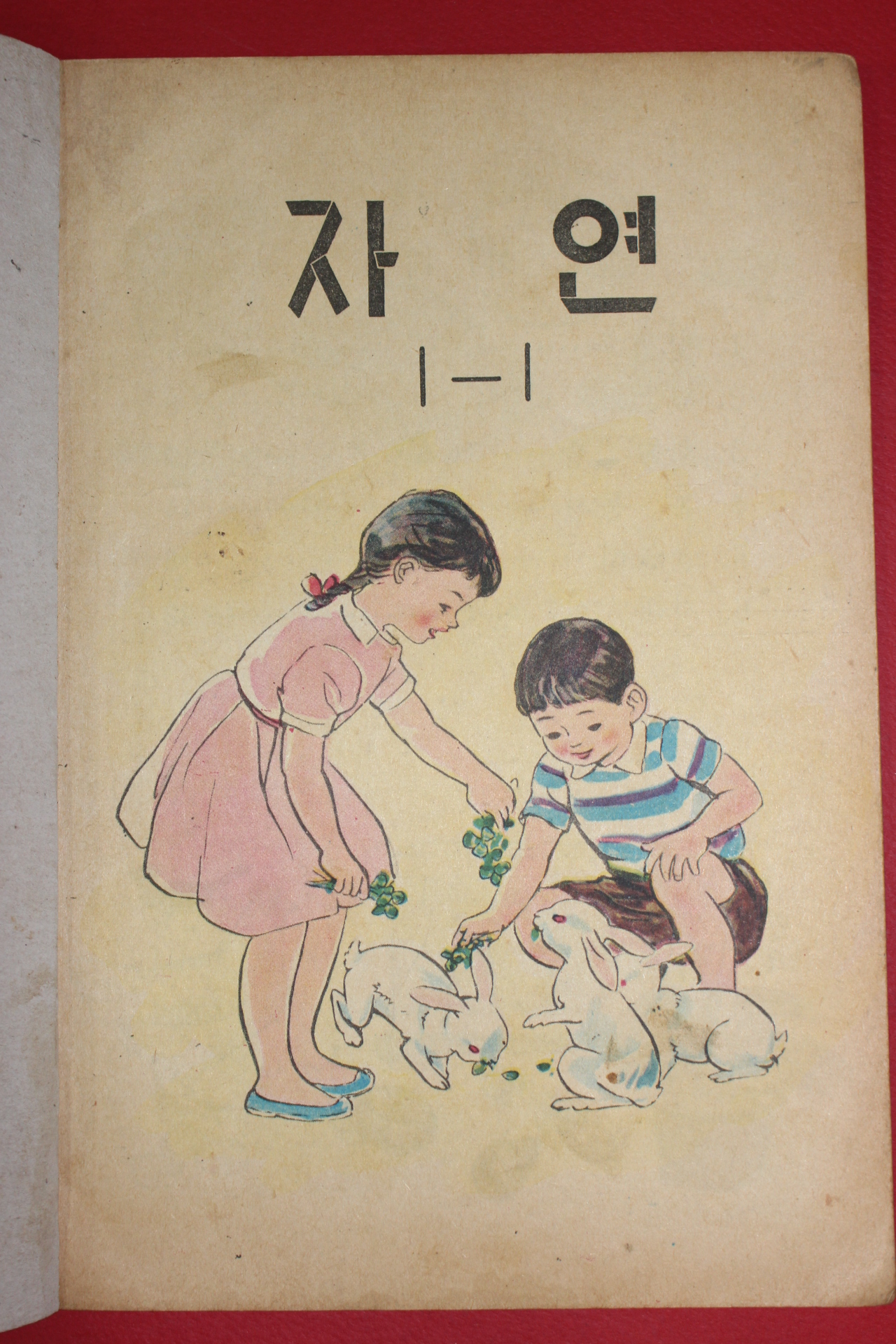 1968년 자연 1-1