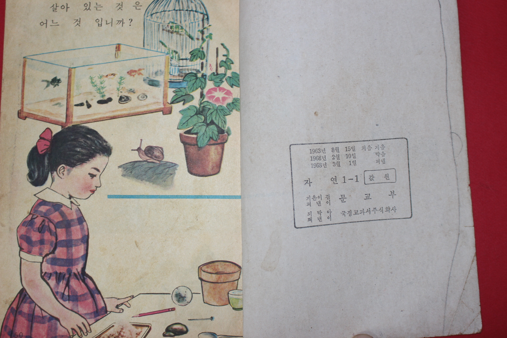 1968년 자연 1-1