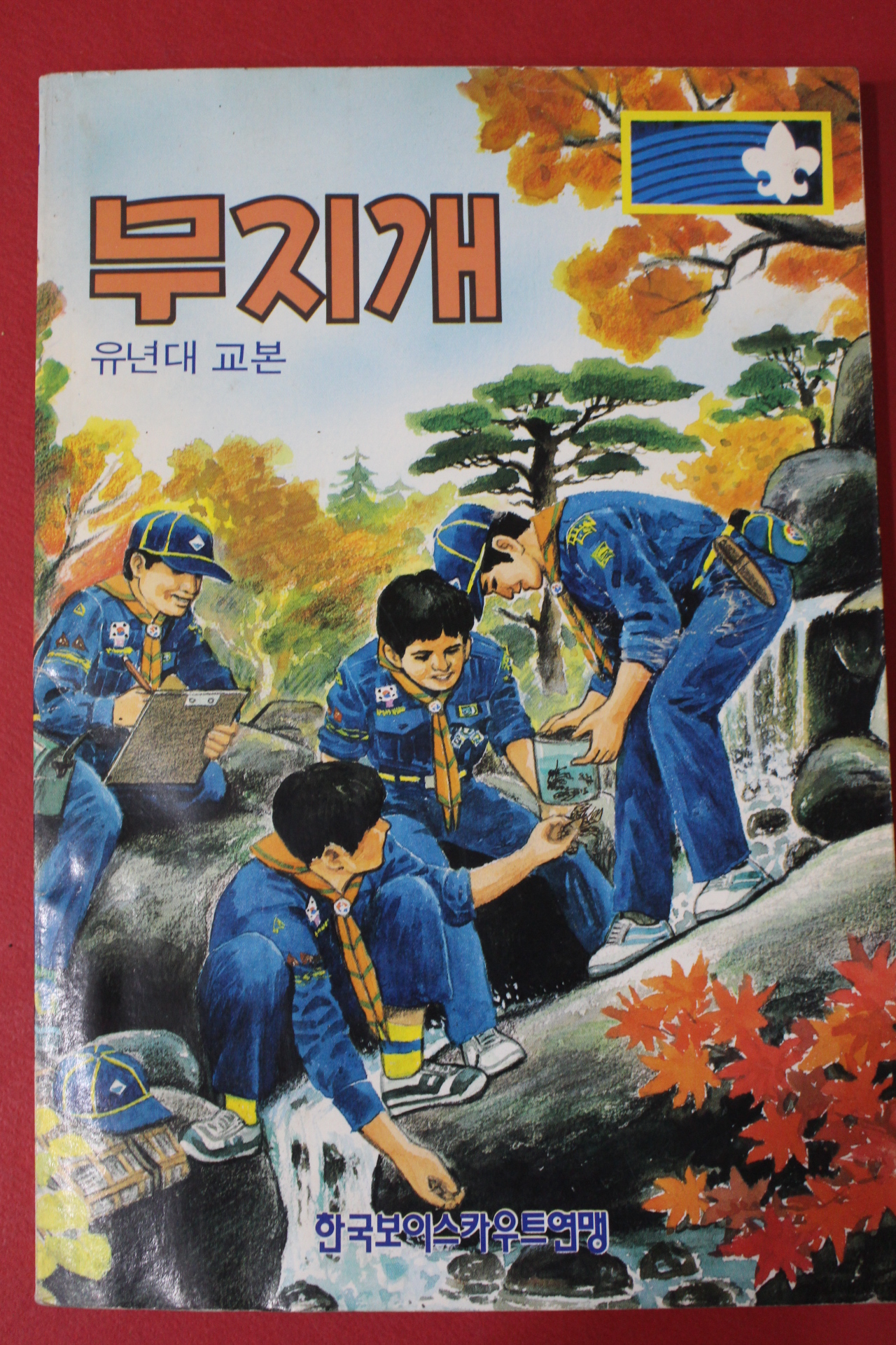 1991년 유년대교본 무지개