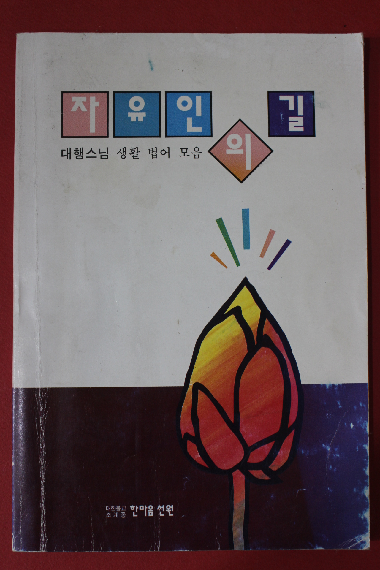 1997년(불기2539년) 대행스님 자유인의 길