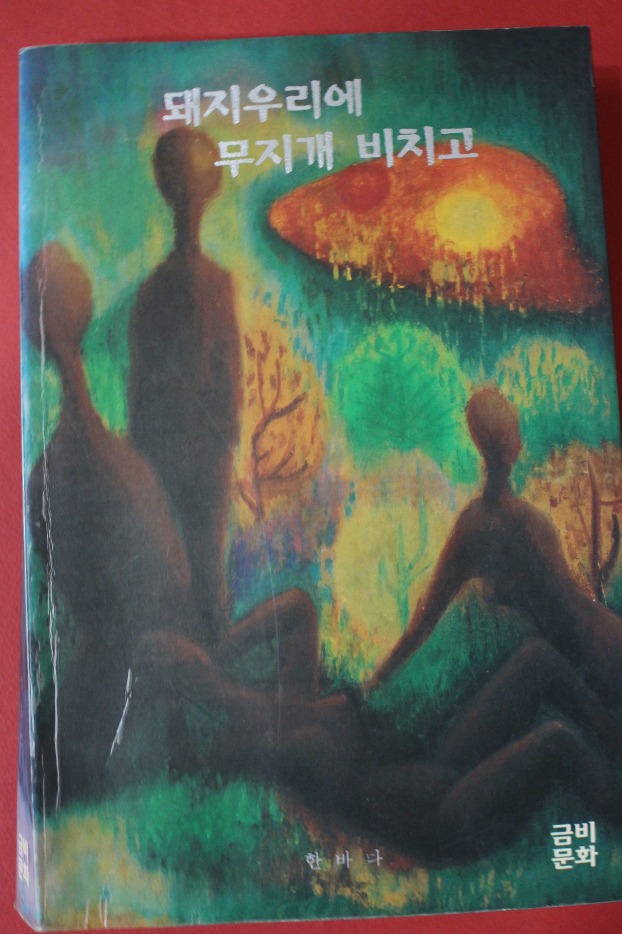 1998년 한바다 돼지우리에 무지개 비치고