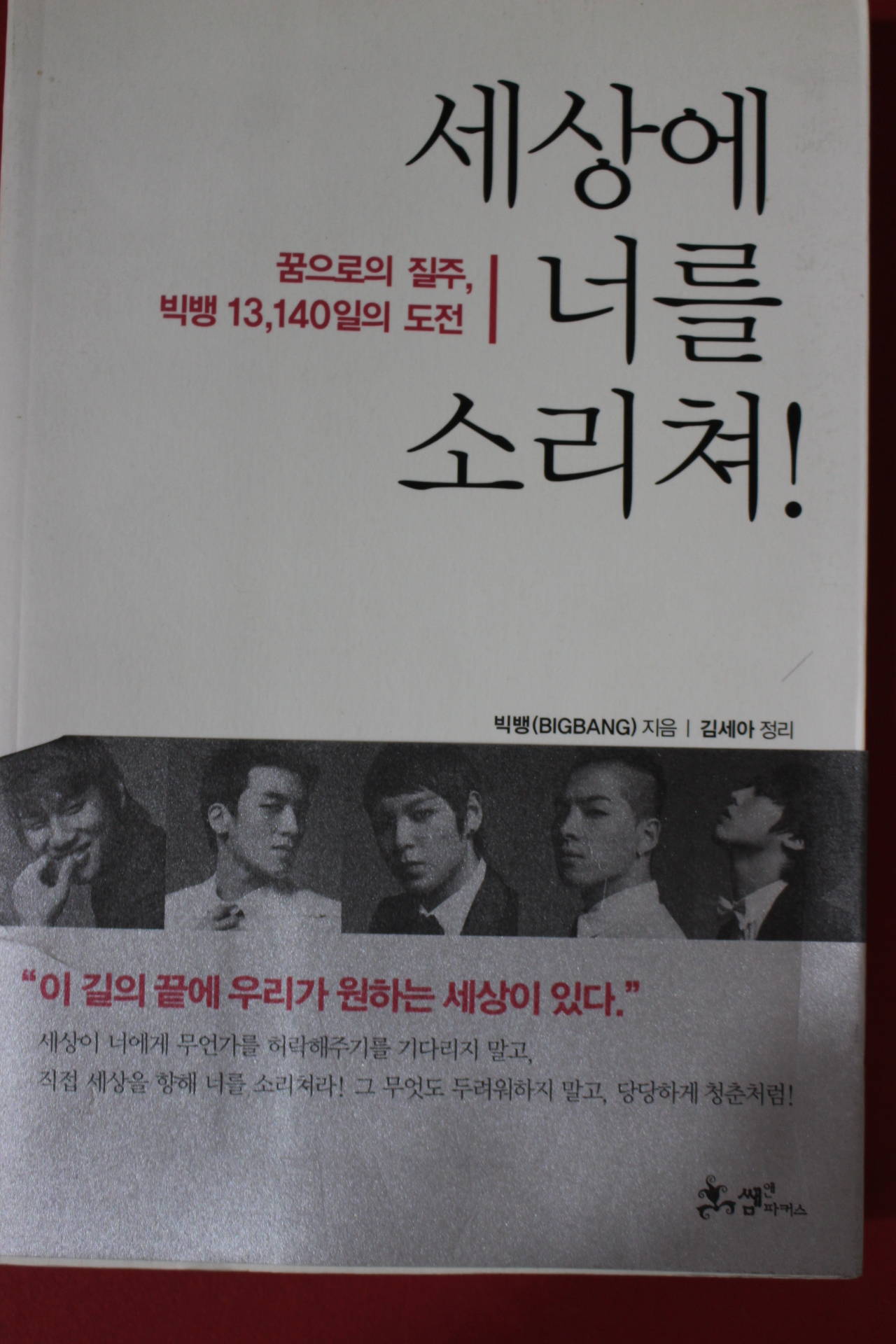 2009년 빅뱅 세상에 너를 소리쳐