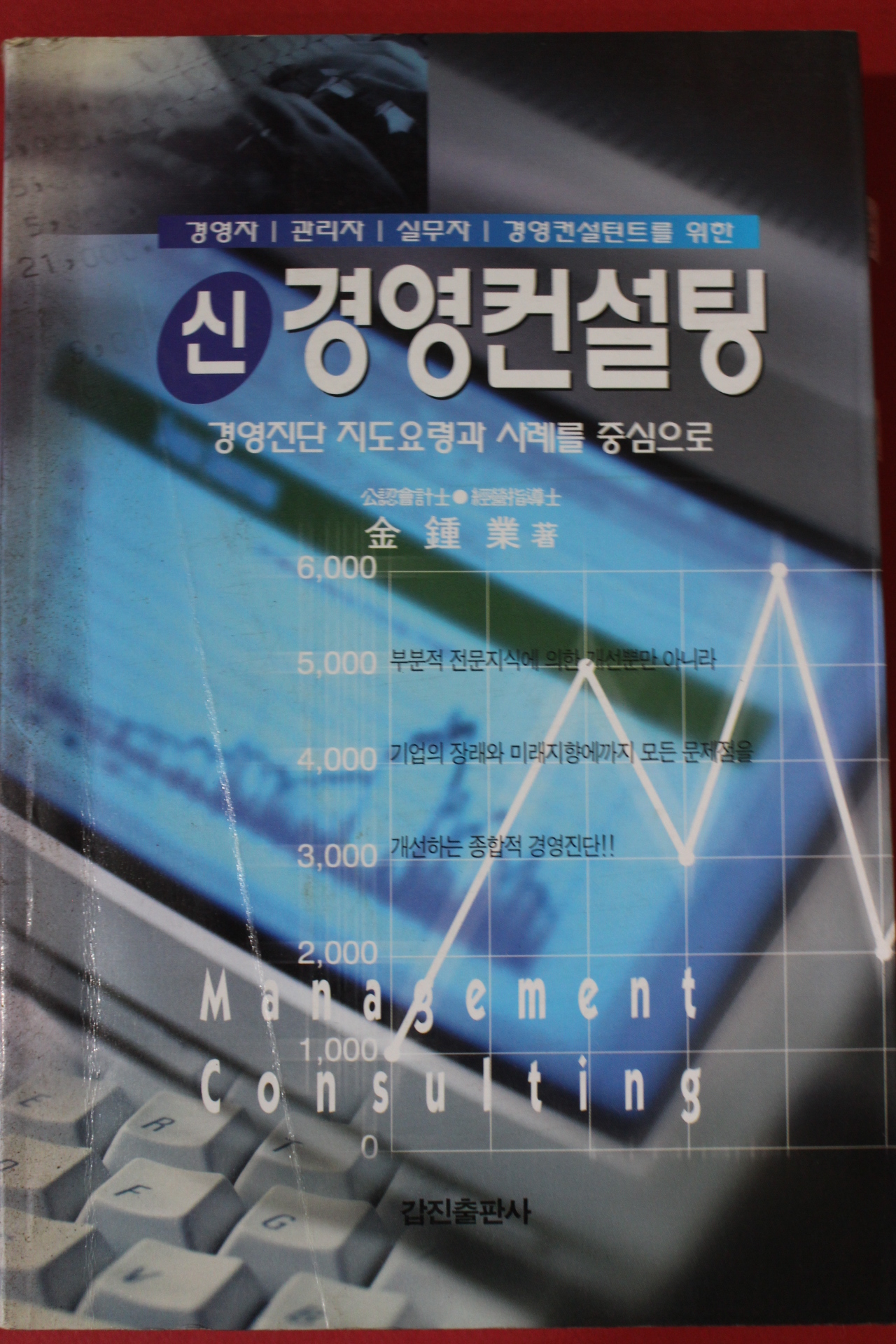 2001년 김종업 신경영컨설팅