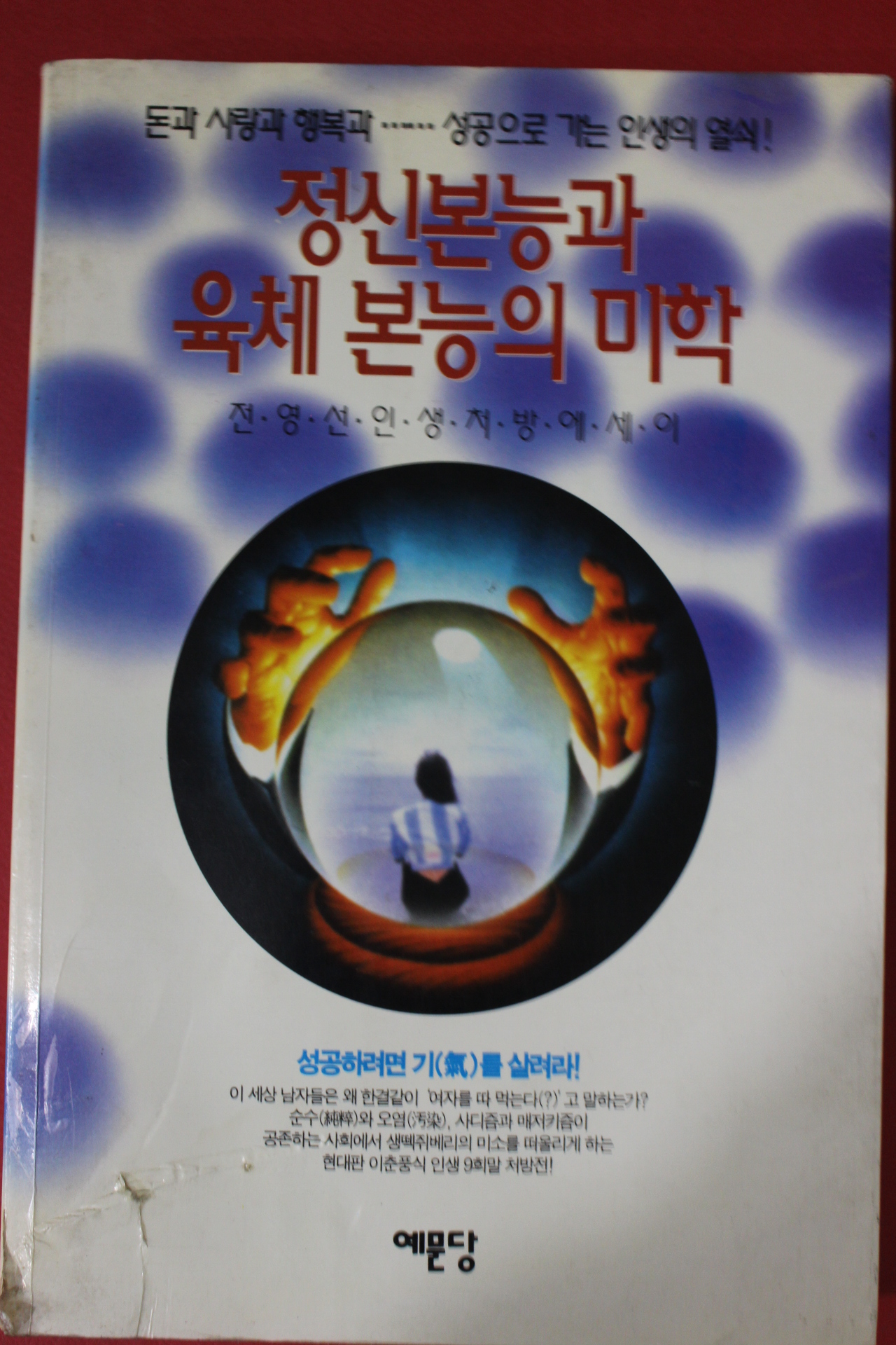 1995년 전영선 정신본능과 육체본능의 미학