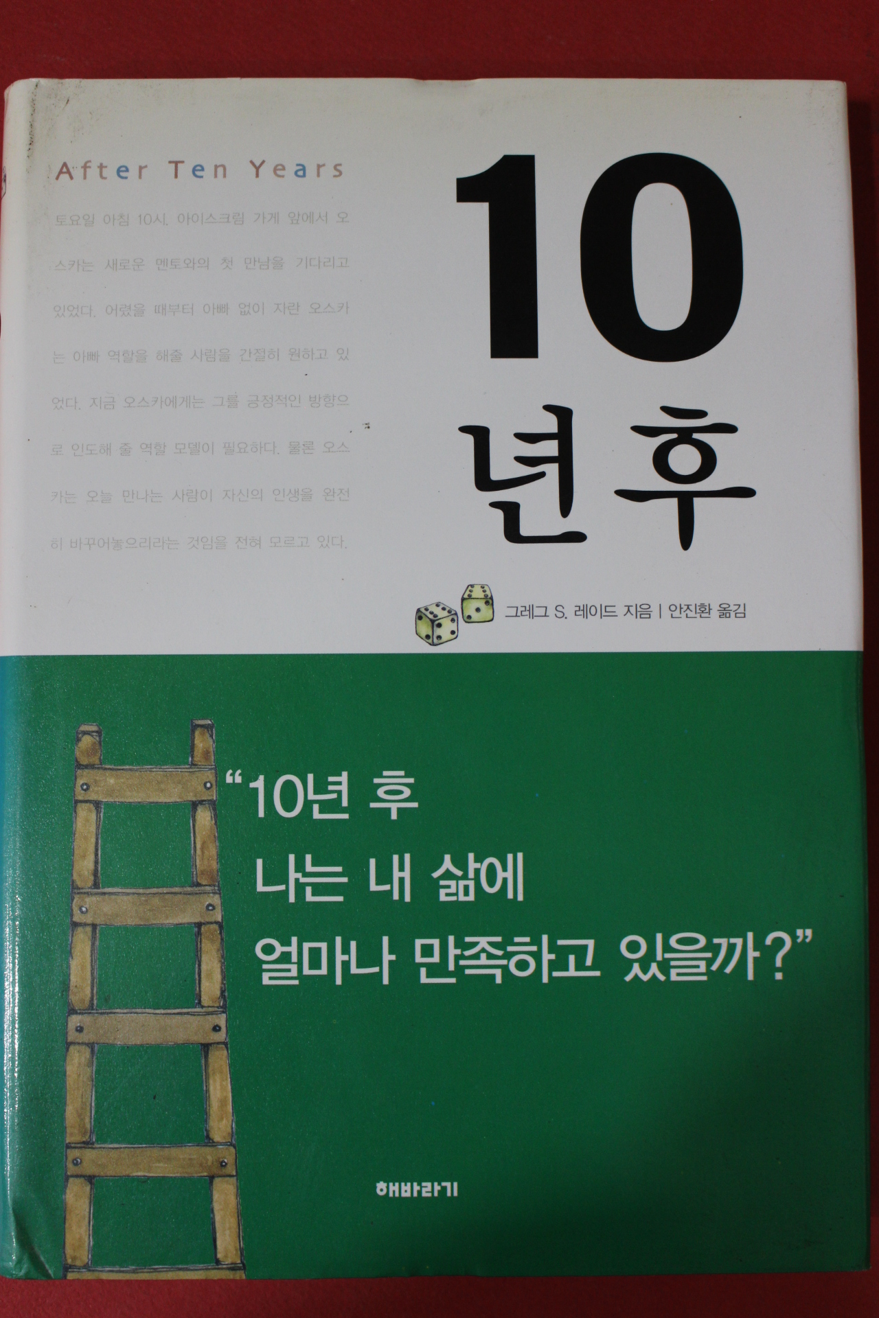 2004년 레이드 10년후