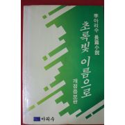 1988년초판 이아리수 장편소설 초록빛 이름으로
