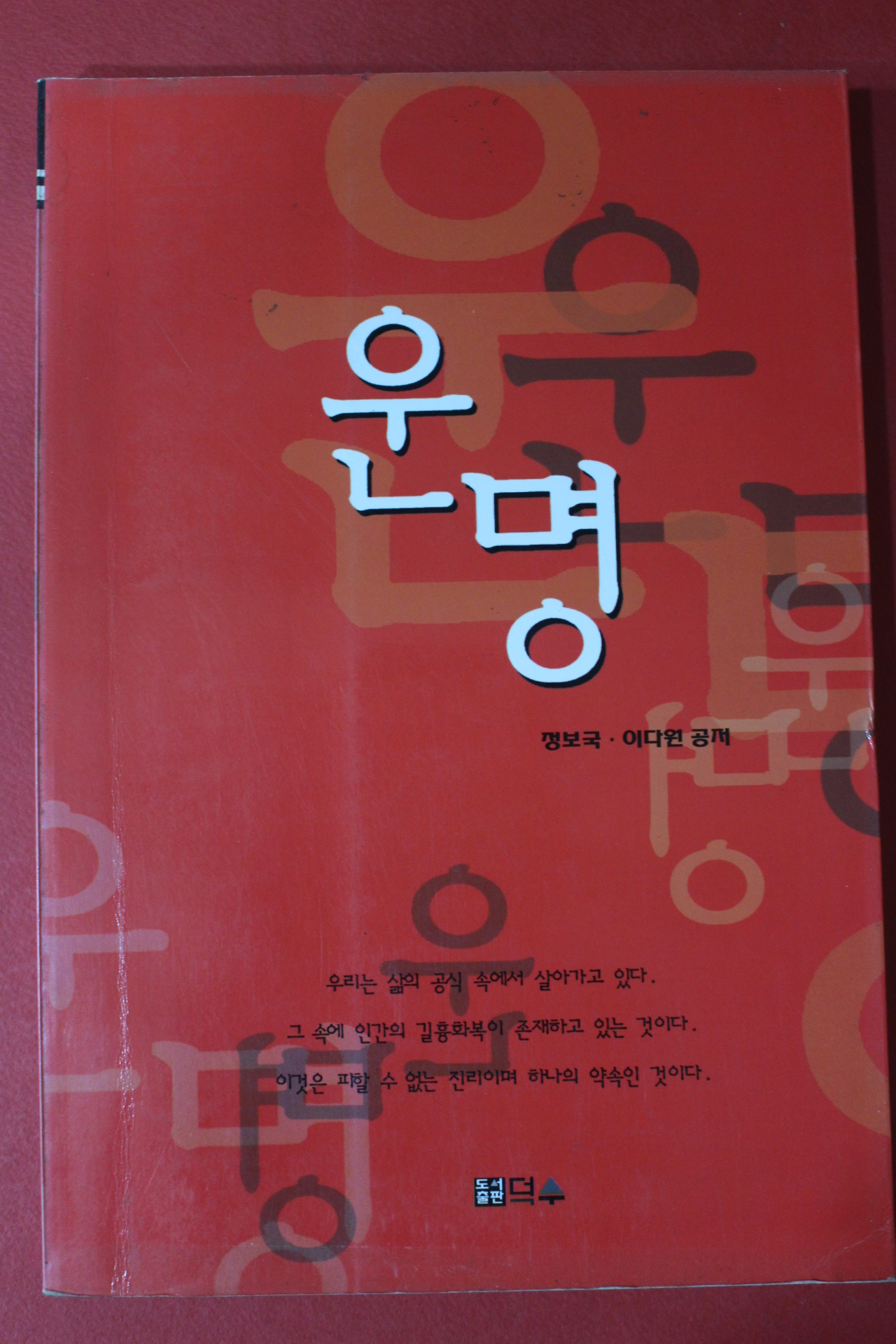 1999년 정보국,이다원 공저 운명