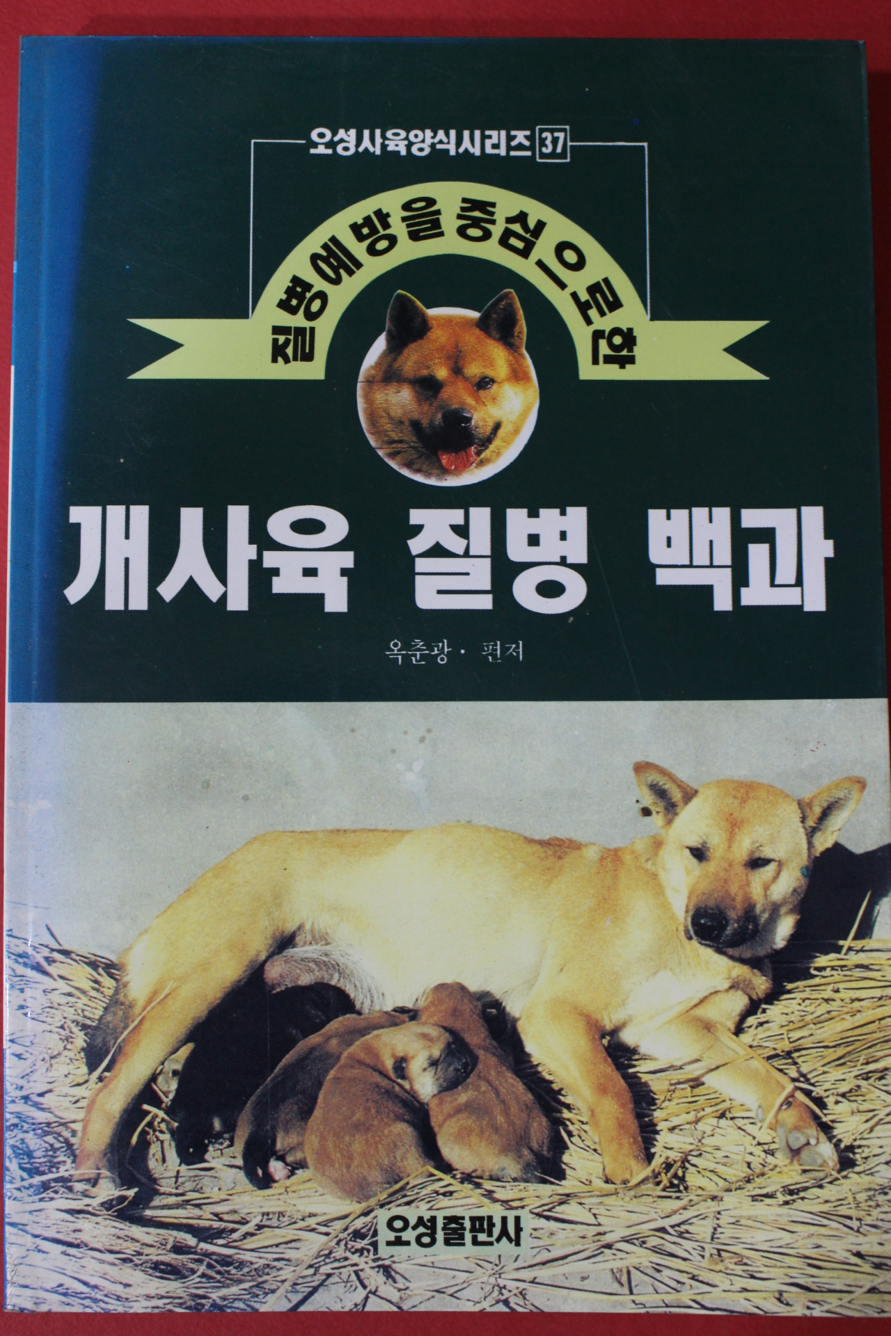 1996년 옥춘광 개사육 질병 백과
