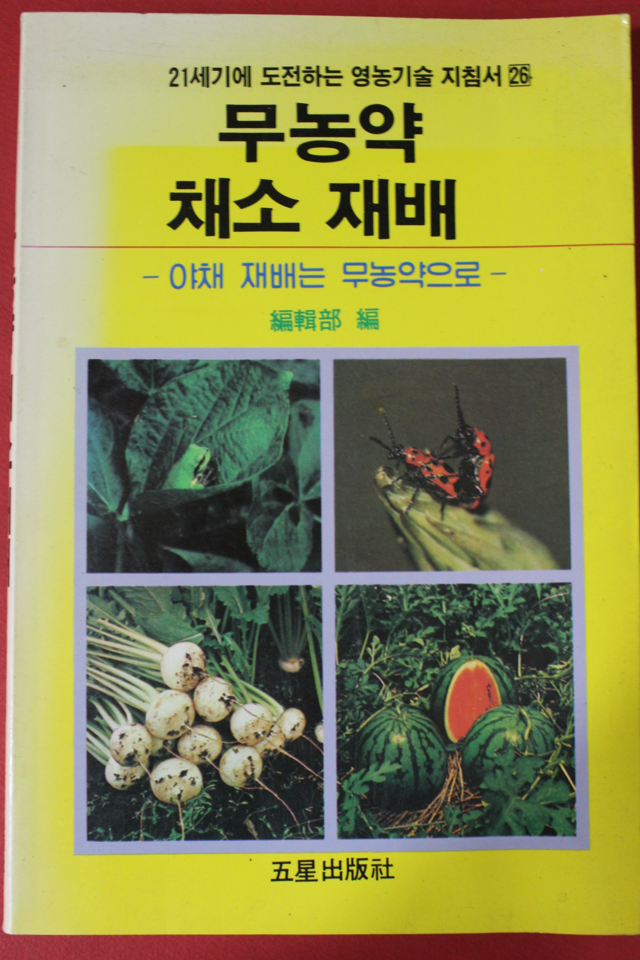 1994년 무농약 채소재배