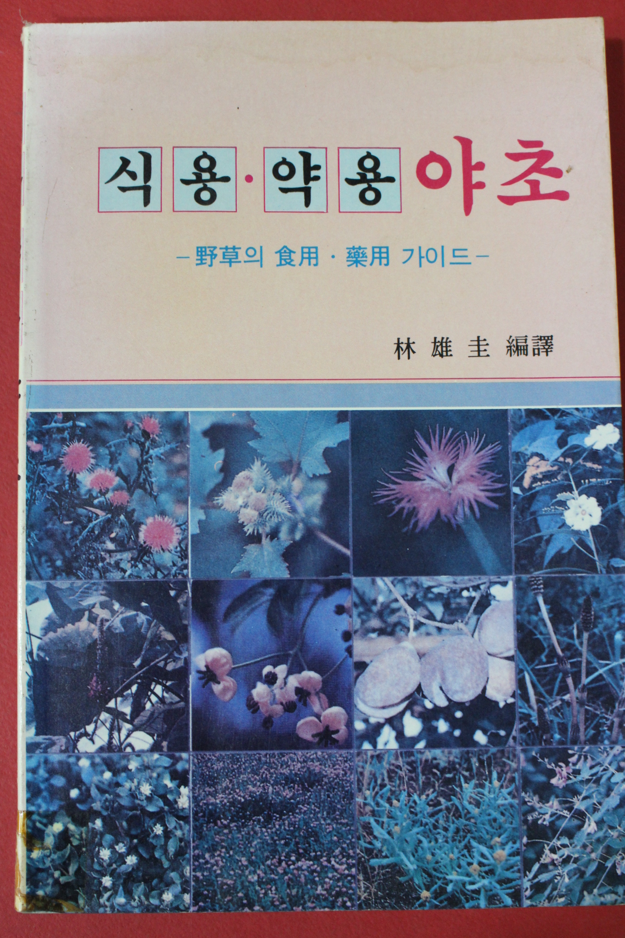 1990년초판 식용약용 야초