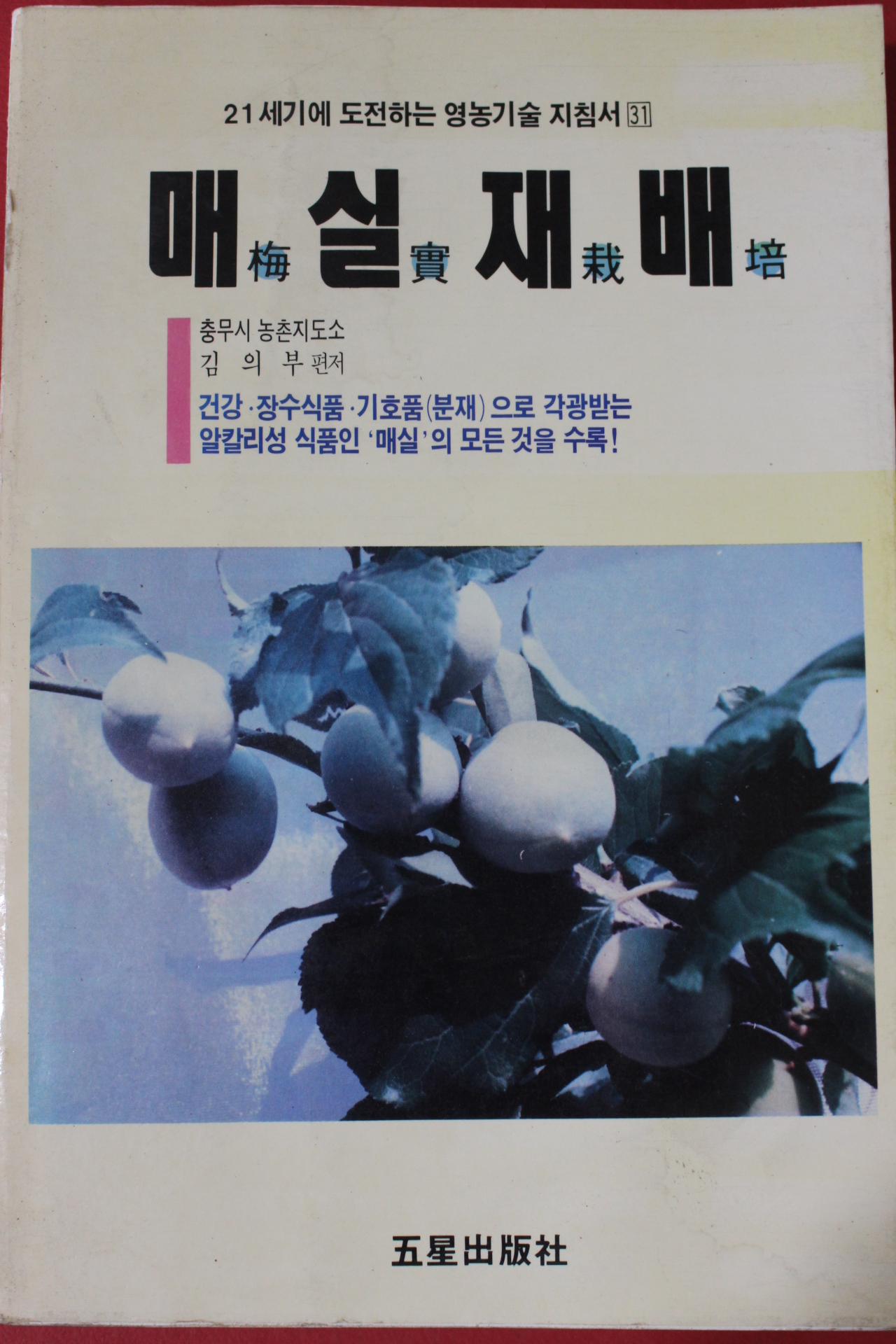 1992년초판 매실재배