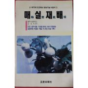 1992년초판 매실재배