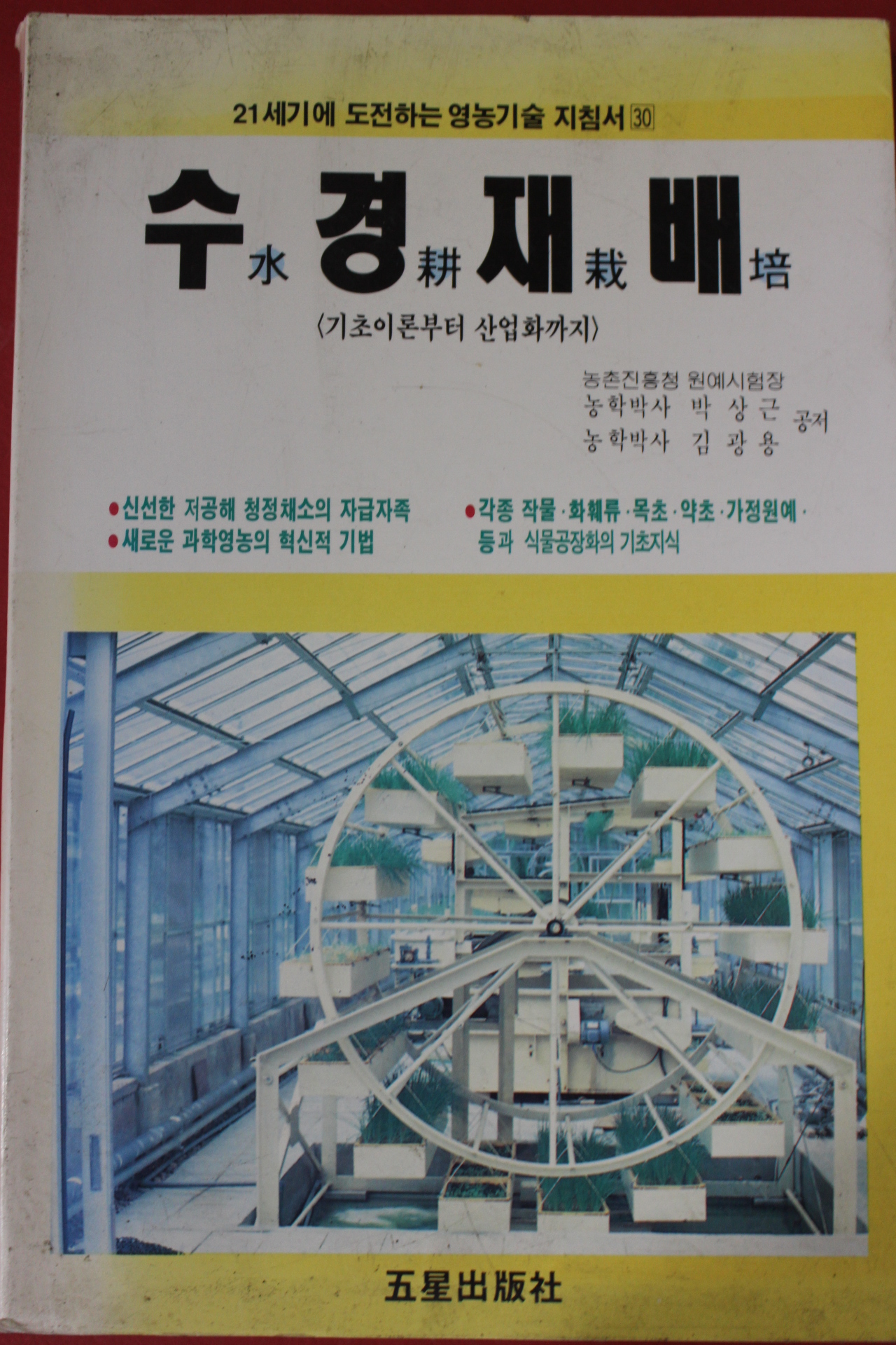 1994년 김중영 수경재배