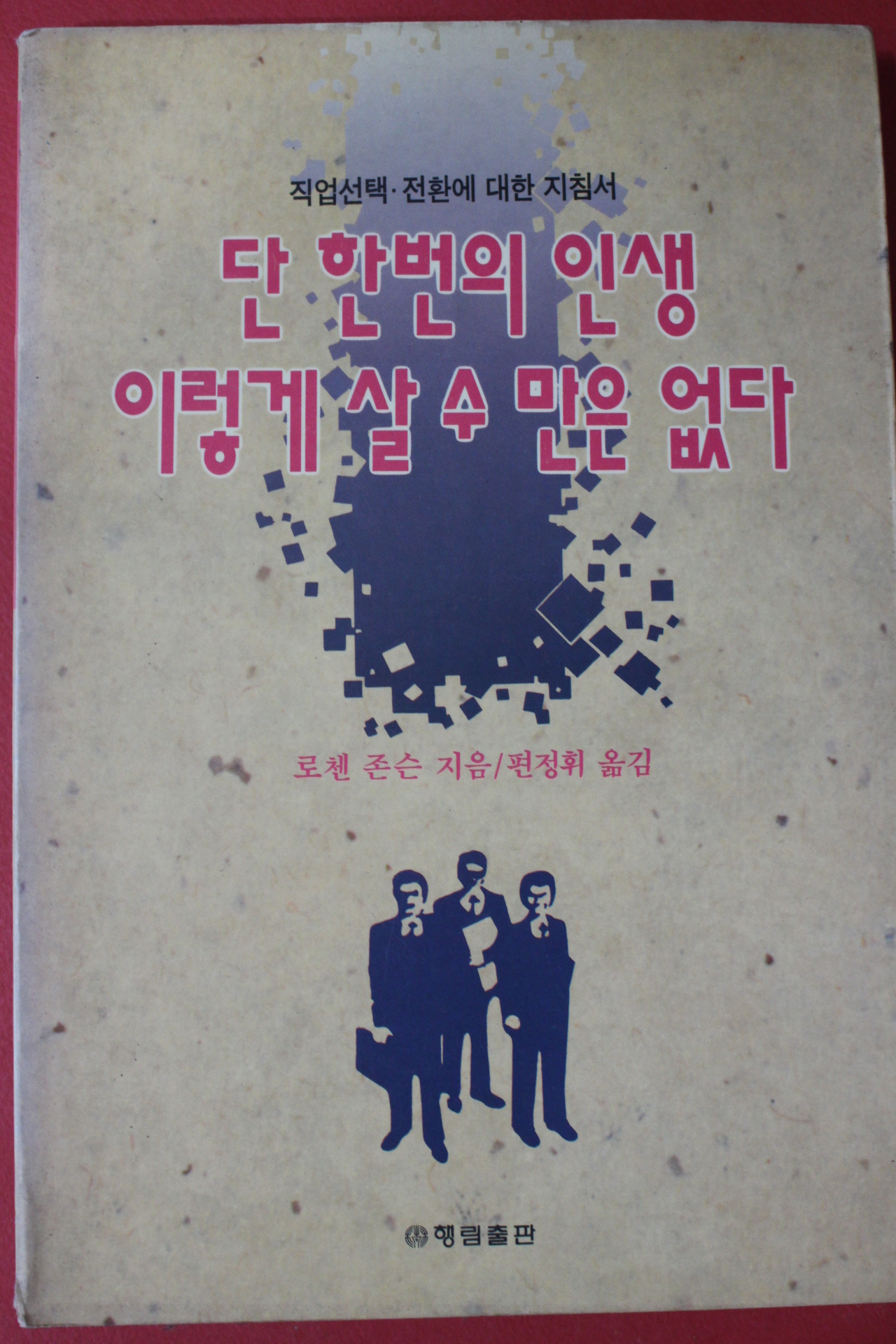 1994년 로첸 존슨 단한번의 인생 이렇게 살수만은 없다
