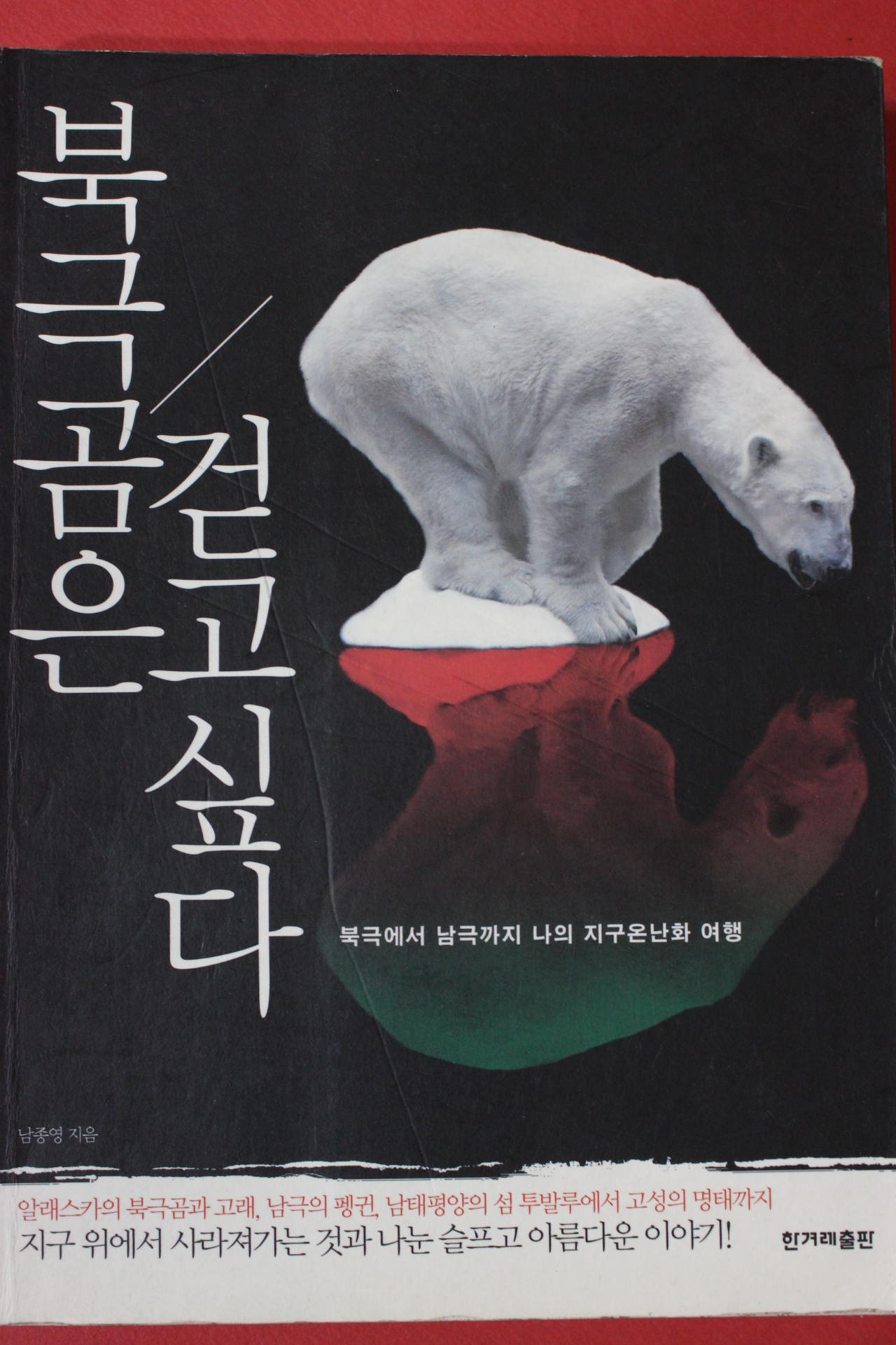 2010년 남종영 북극곰은 걷고싶다
