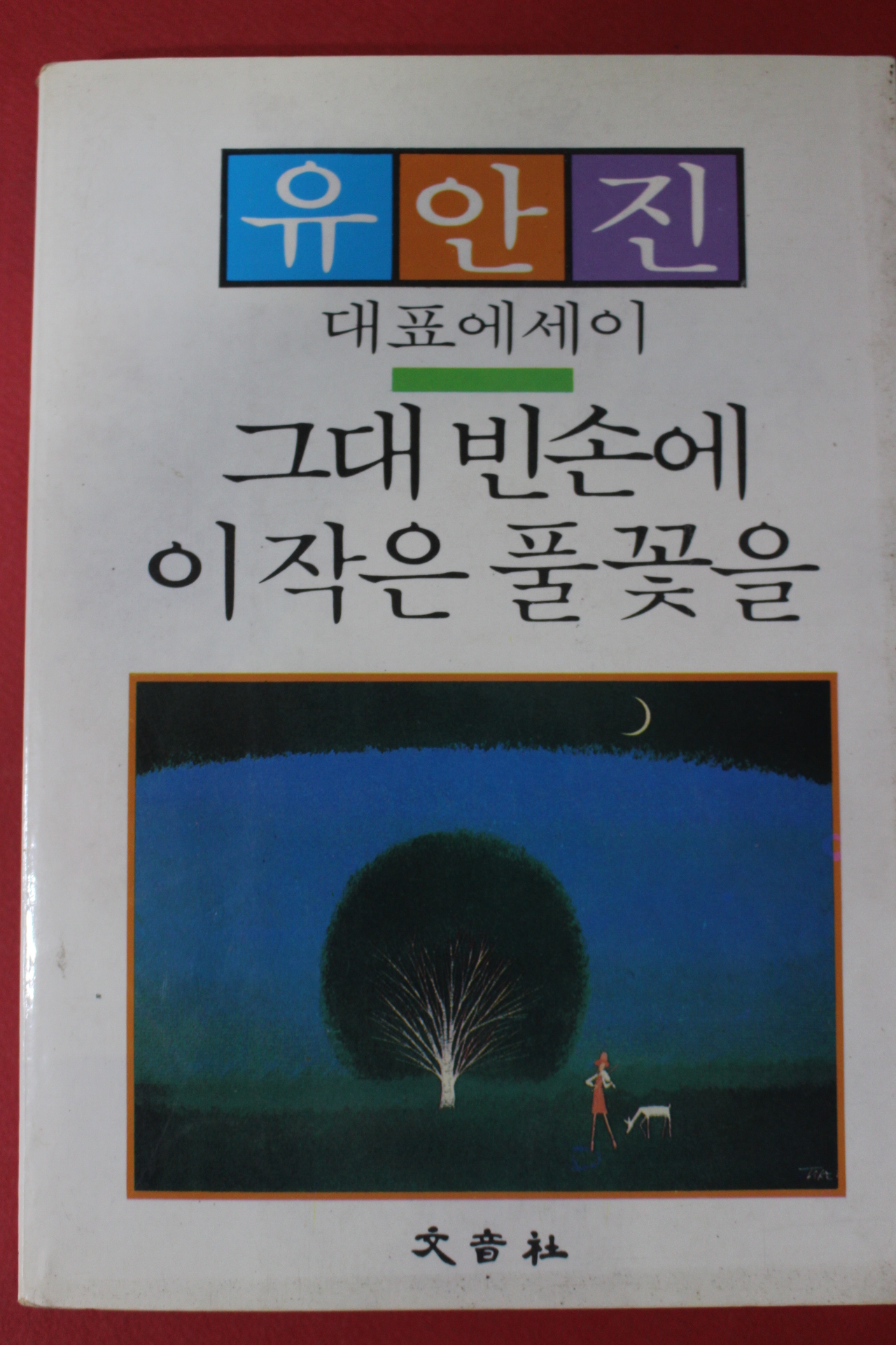 1986년 유안진 그대 빈손에 이작은 풀꽃을
