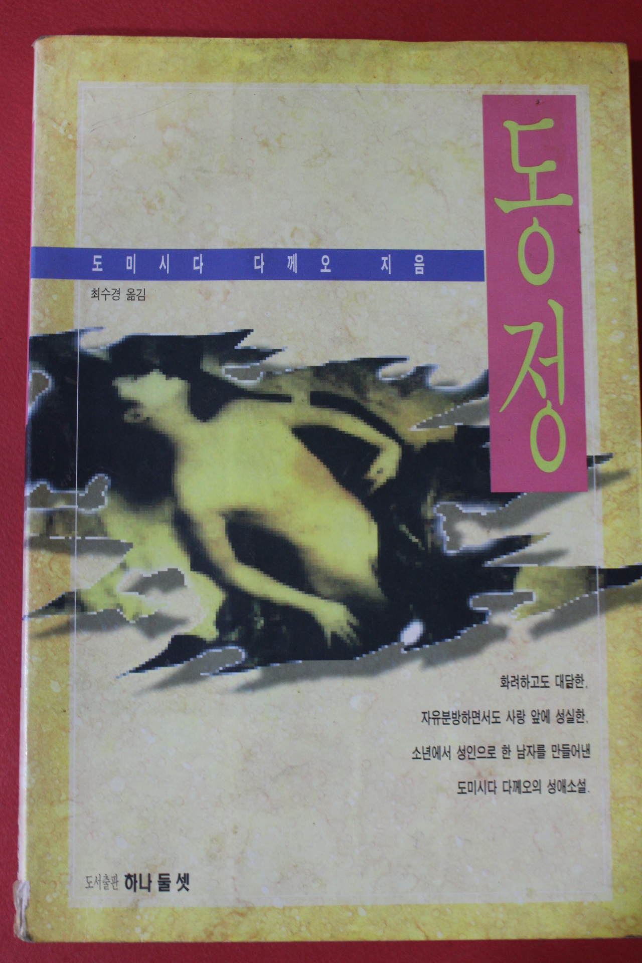 1995년 도미시다 다께오 최수경옮김 동정