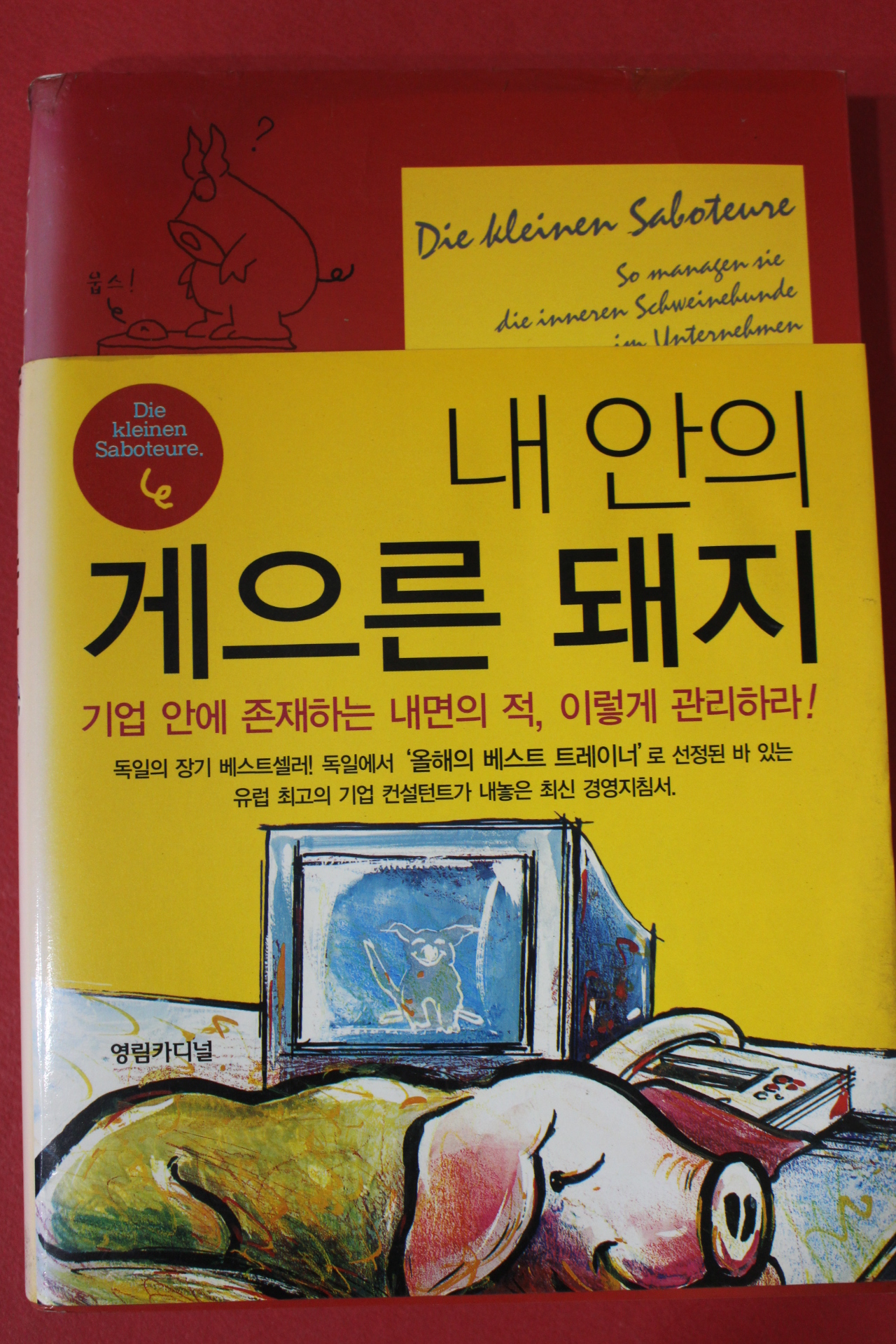 2005년초판 내안의 게으른 돼지