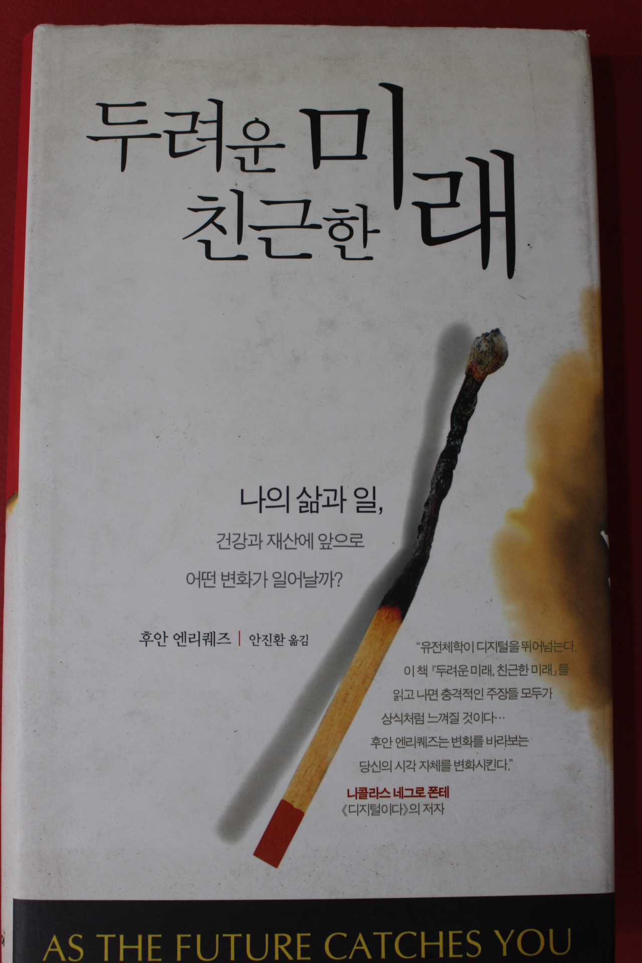 2003년 니콜라스 네그로 폰테 두려운 미래 친근한 미래