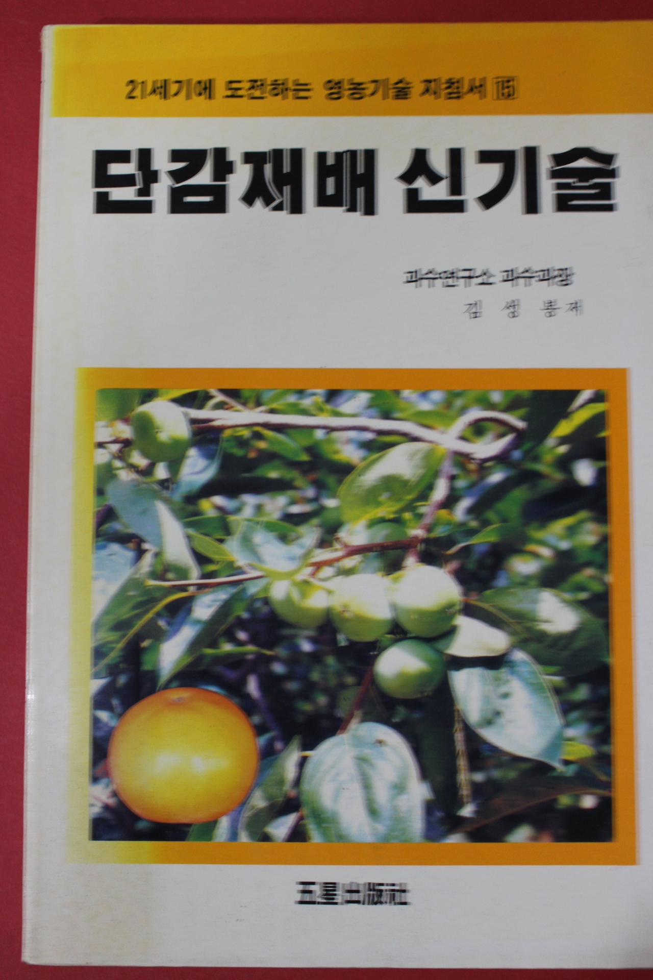 1992년 김성봉 단감재배 신기술