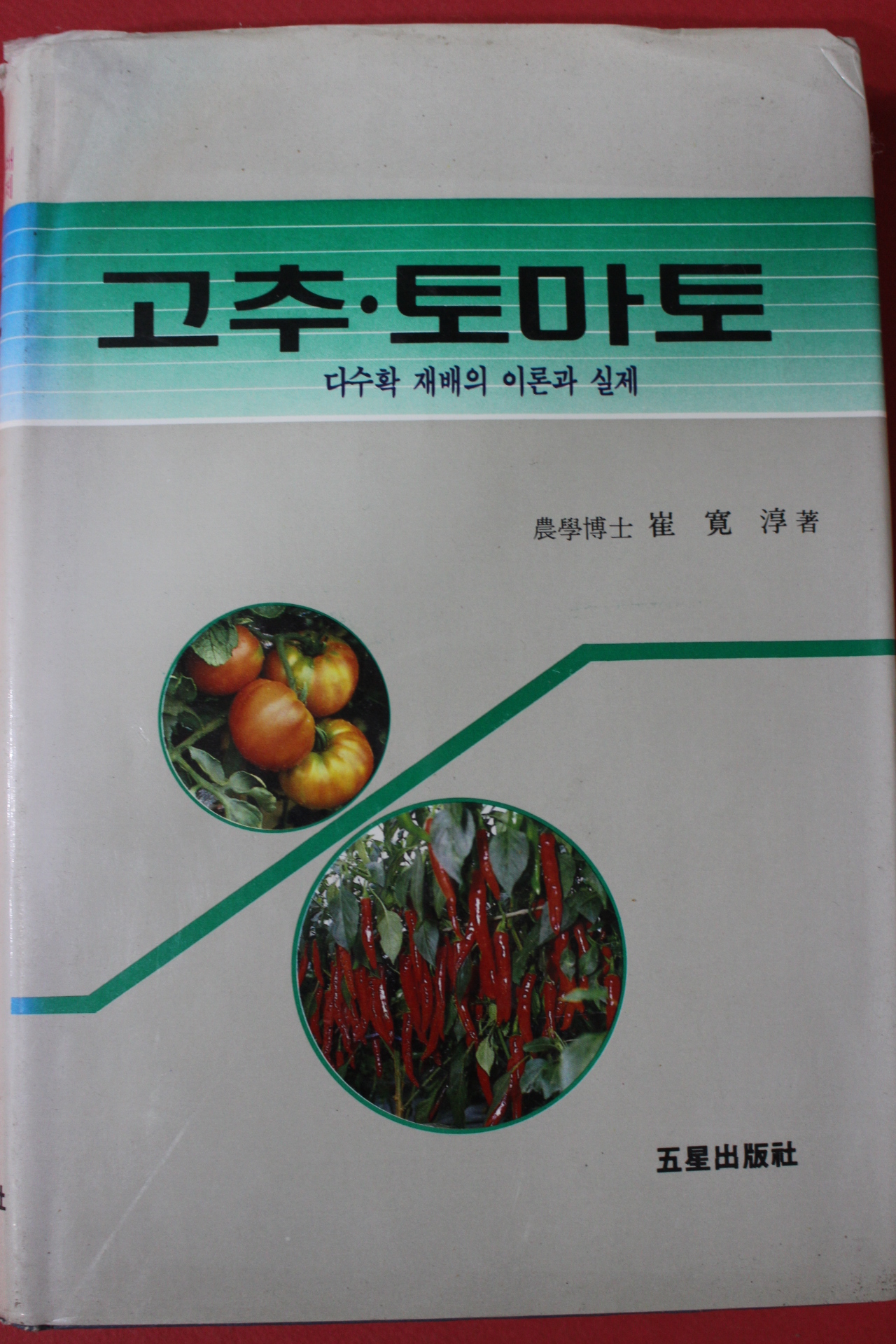 1991년 최관순 고추 토마토