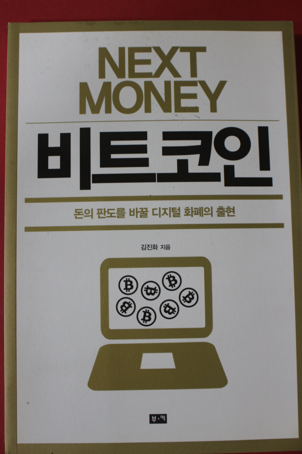 2017년 김진화 비트코인