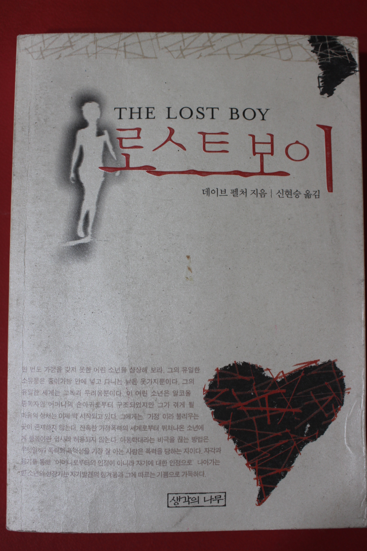 2004년초판 데이브 펠처 로스트보이