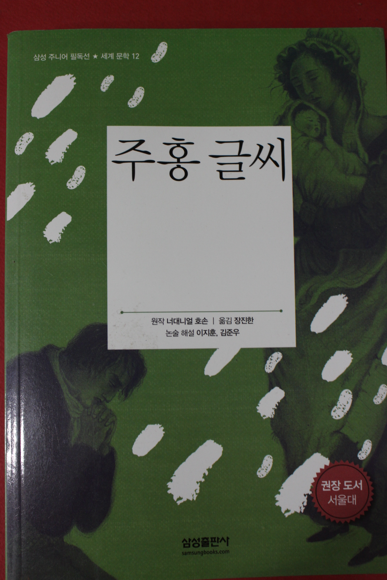2014년 너대니얼 호손 장진한옮김 주홍글씨