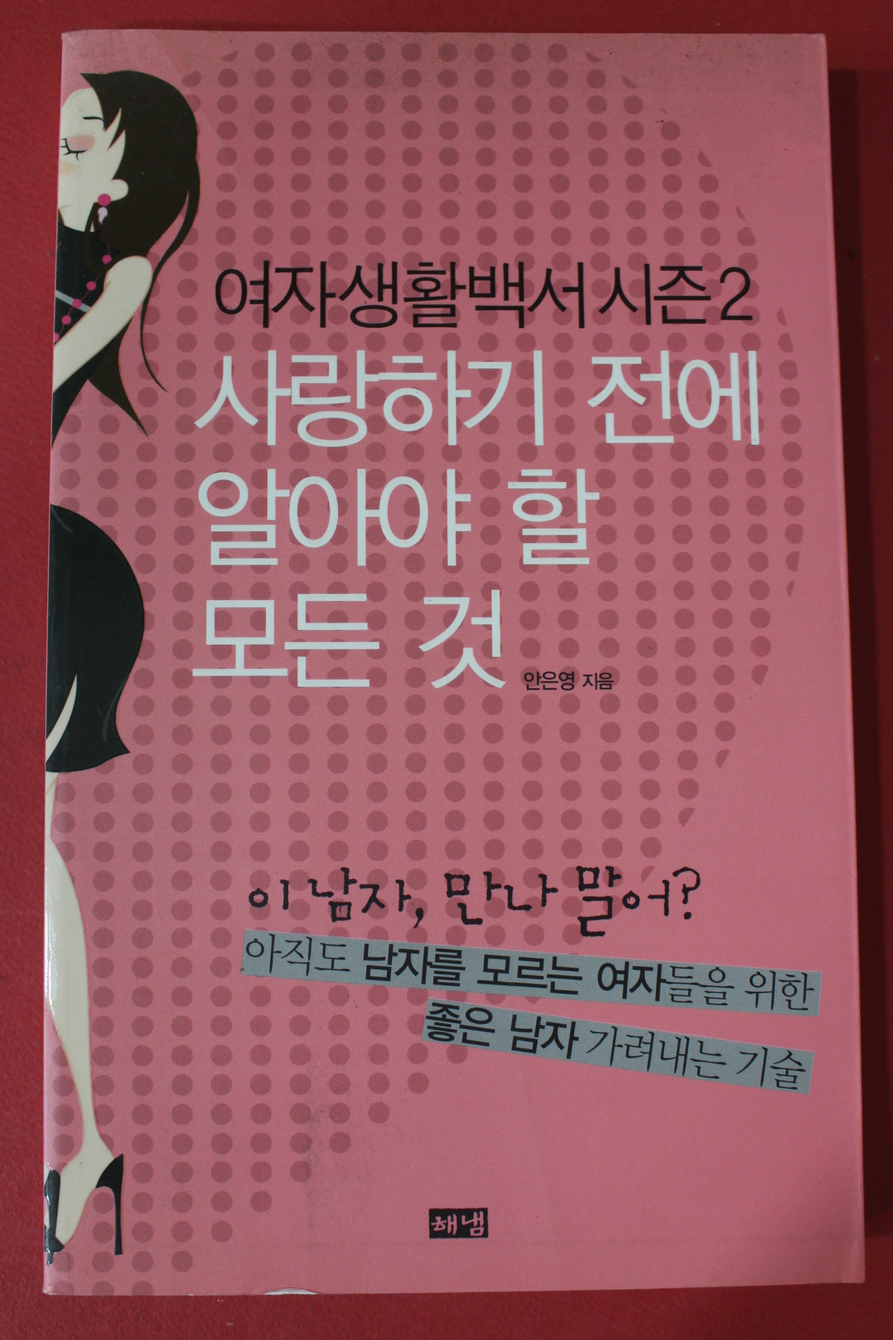 2007년초판 안은영 사랑하기 전에 알아야 할 모든것