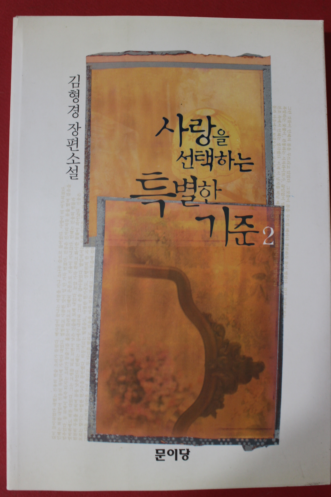 2002년 김형경 장편소설 사랑을 선택하는 특별한기준 2