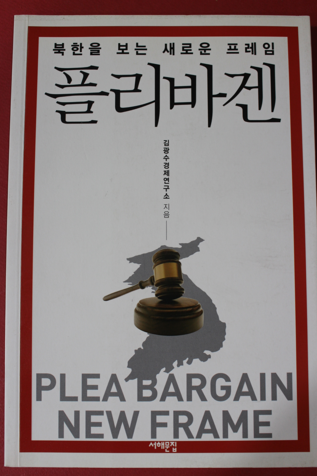 2011년초판 김광수 북한을 보는 새로운 프레임 플리바겐