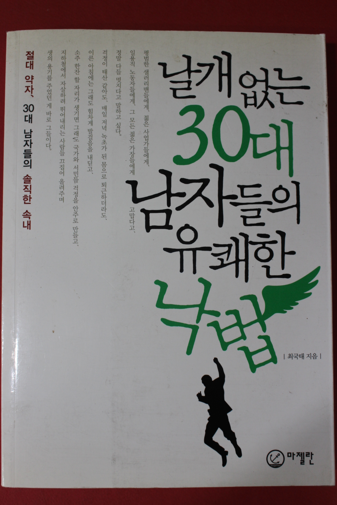 2009년초판 최국태 날개없는 30대 남자들의 유쾌한 낙법