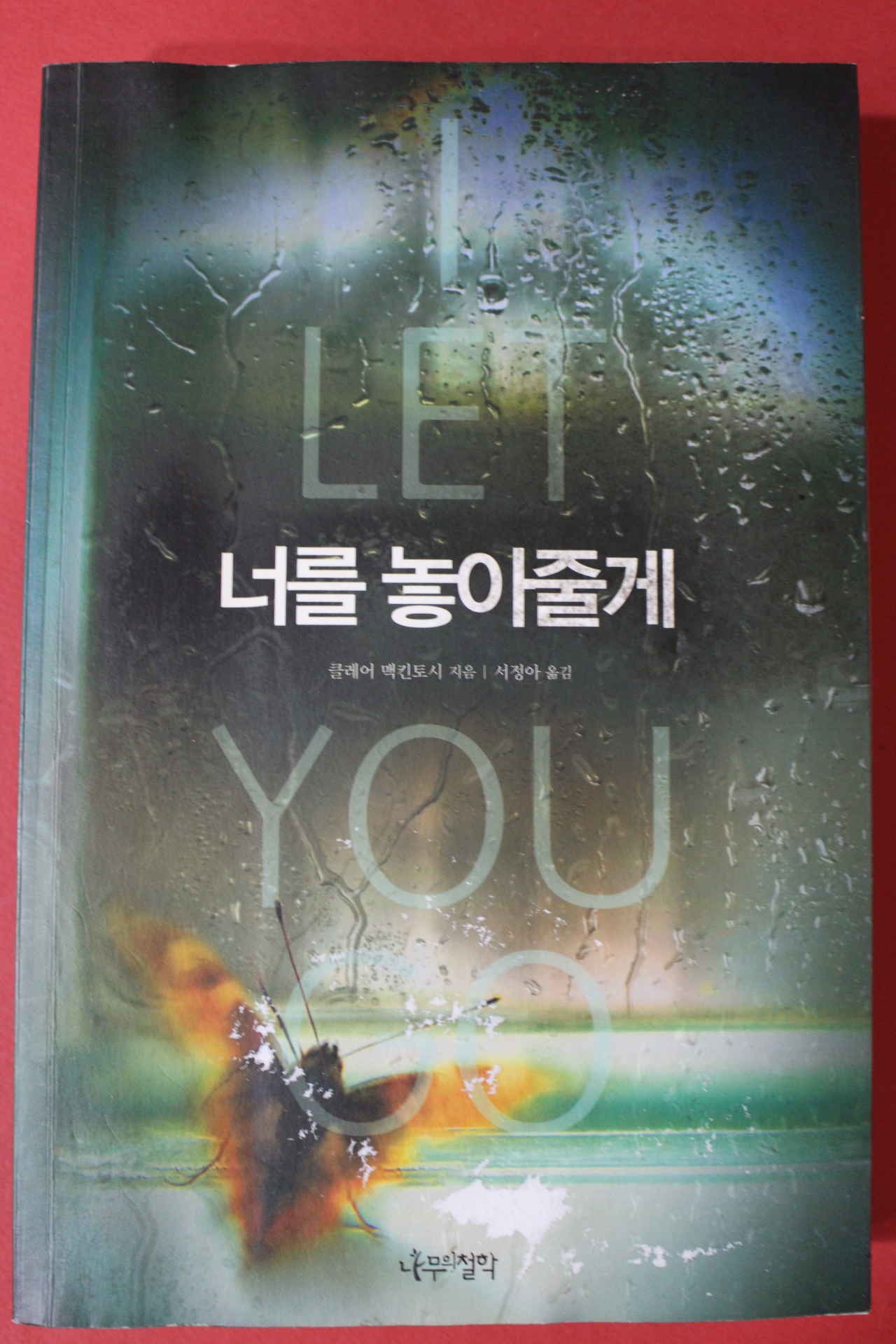 2016년 클레어 맥킨토시 서정아옮김 너를 놓아줄게