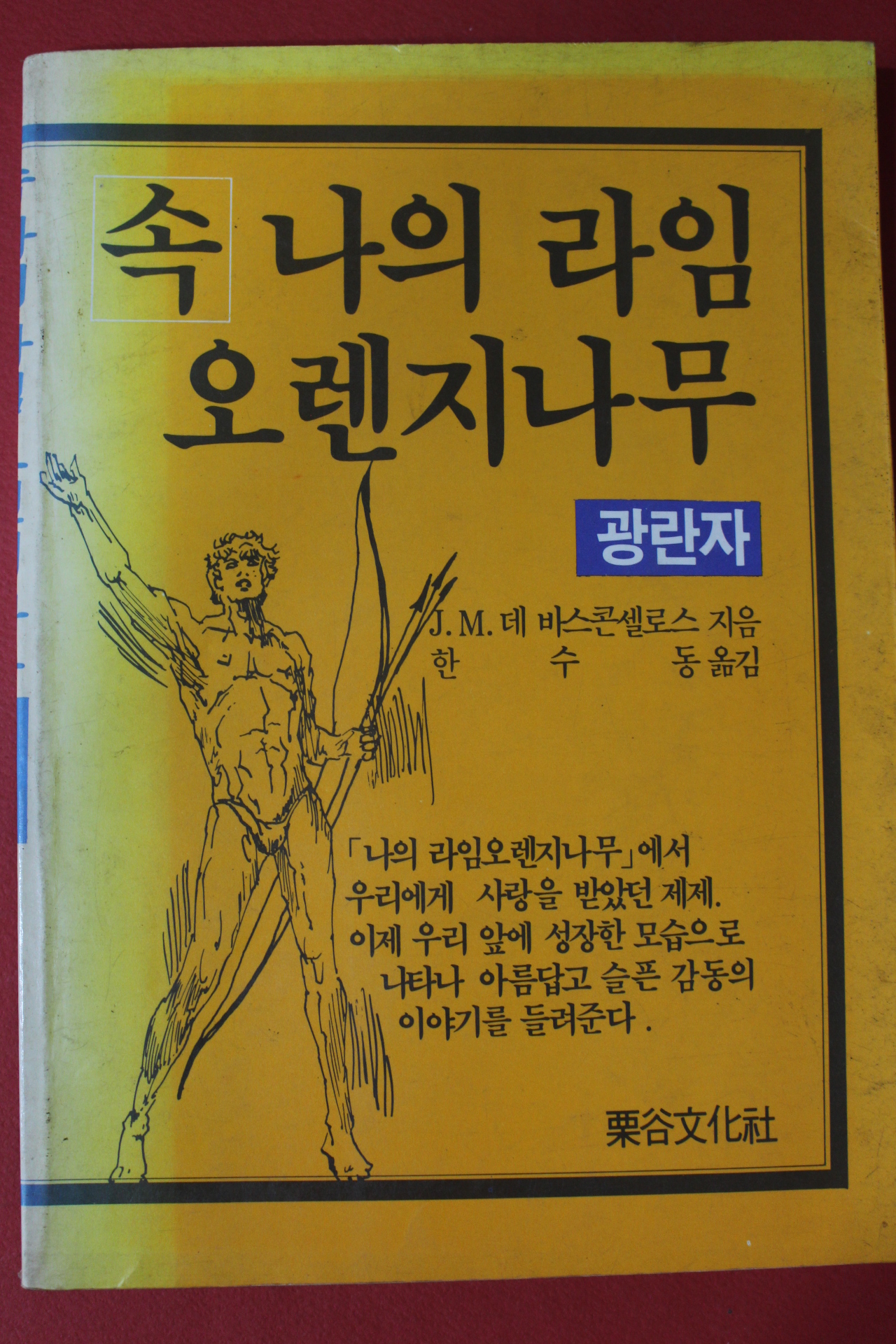 1987년 바스콘셀로스 속 나의 라임 오렌지나무