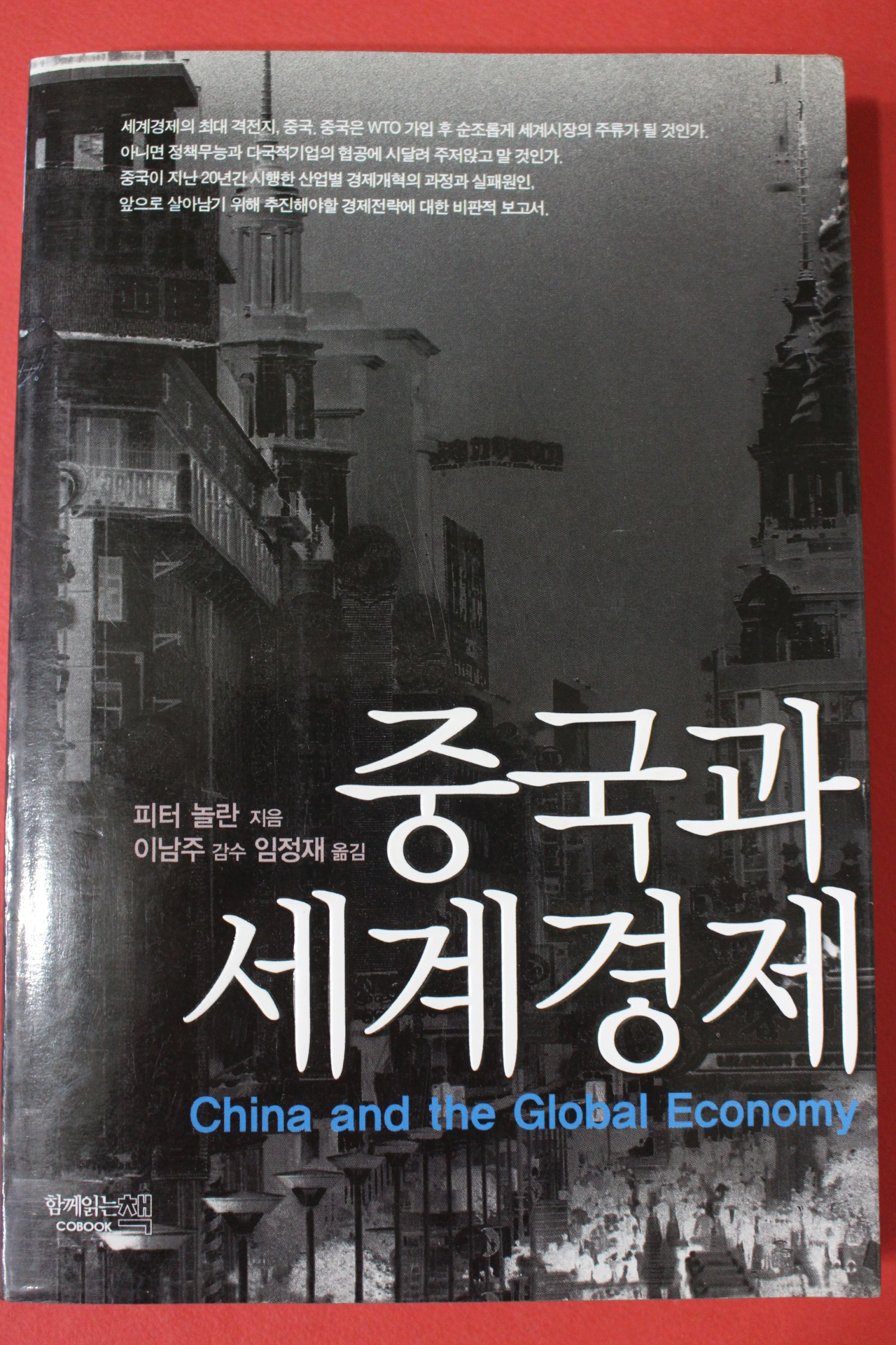 2002년초판 피터 놀란 중국과 세계경제