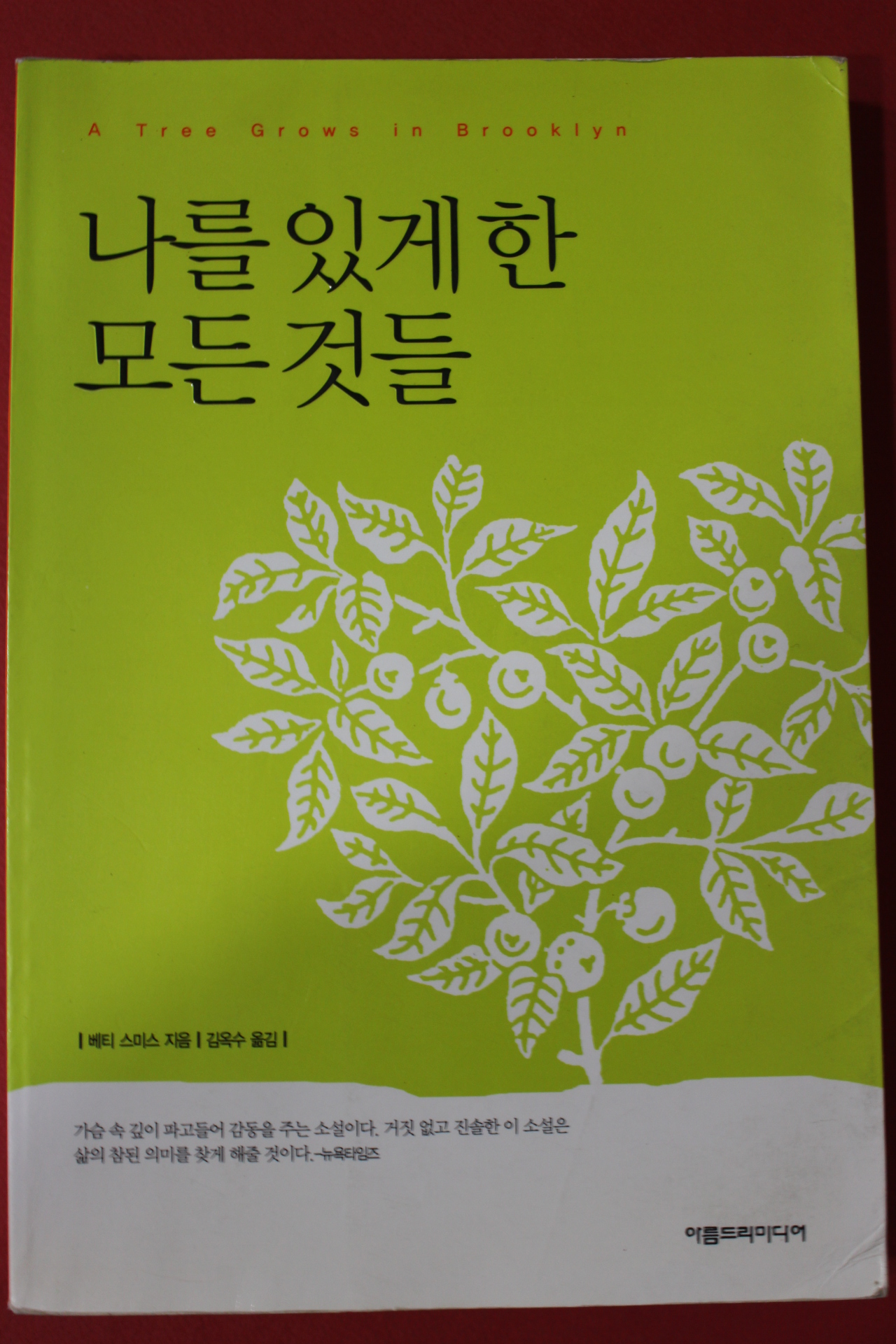 2002년 베티 스미스 김옥수옮김 나를 있게 한 모든것들