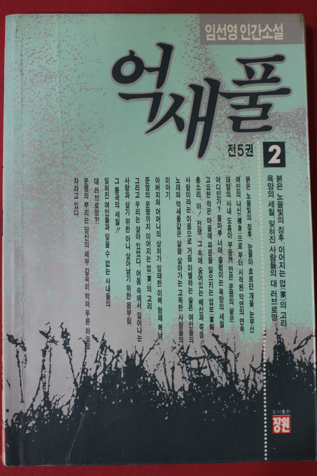 1991년 임선영 인간소설 억새풀 2